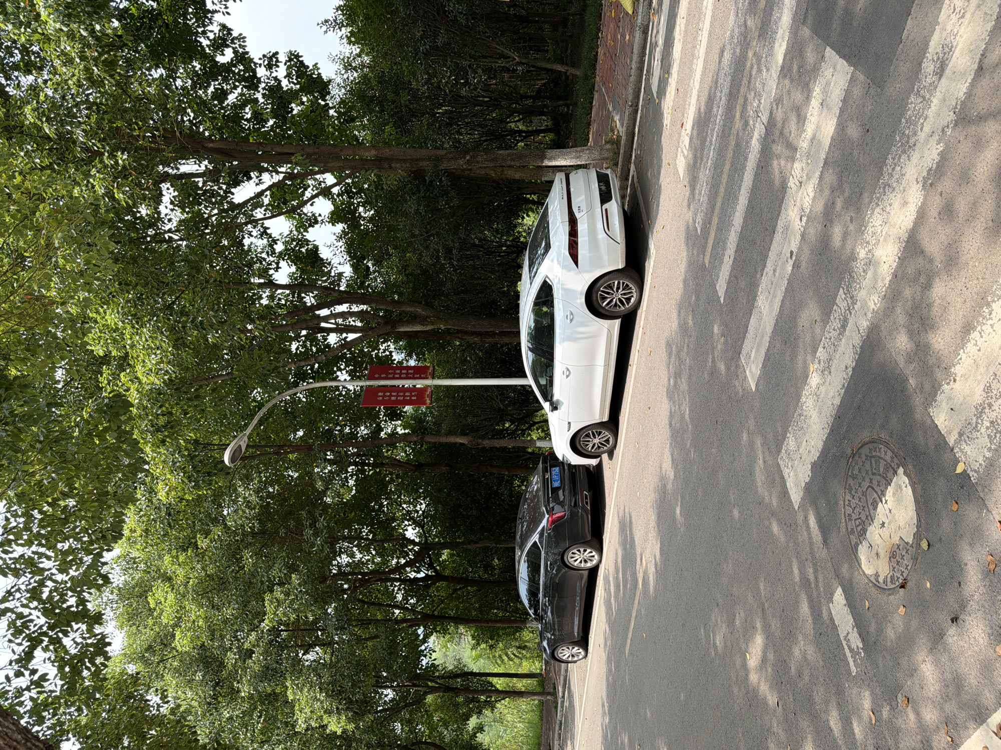 The image shows two sedans parked on the side of a road in Jiangjin, China. A dark gray Cadillac is parked in front of a white sedan. Both cars are facing to the right. A pedestrian crossing is visible in the foreground. The road is lined with trees, and a lamppost stands between the two cars. A red banner is hanging from the lamppost. The environment is outdoors, with sunlight filtering through the trees, creating shadows on the road. The ground near the curb is paved with bricks.