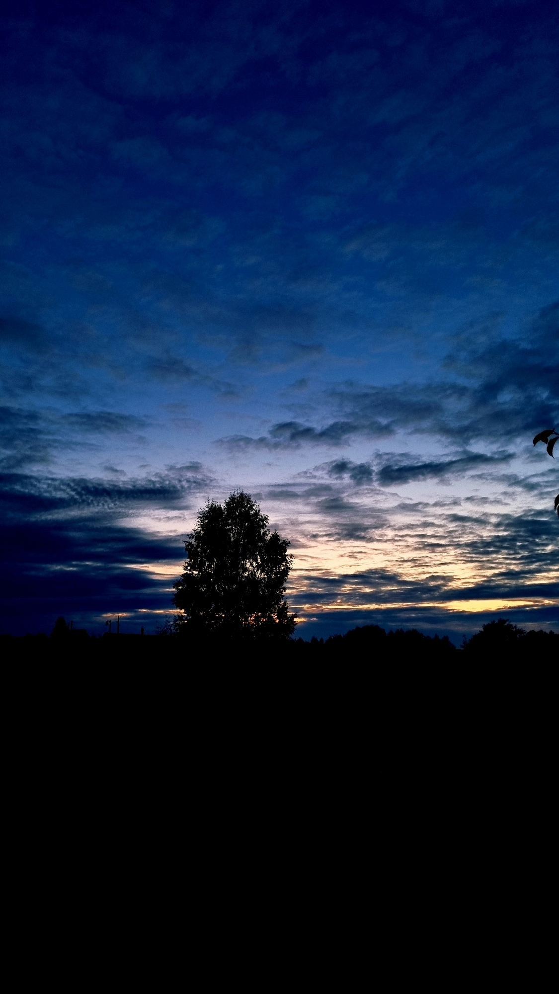 The image captures a twilight sky over a silhouetted landscape. The sky is a deep, rich blue, transitioning to lighter shades of blue and hints of yellow and orange near the horizon, indicating either sunrise or sunset. Wispy clouds are scattered across the sky, some appearing darker and more defined than others. In the foreground, the horizon is dominated by a dark silhouette of trees and foliage, with a distinct, lone tree standing prominently in the center. The ground and any structures are rendered as pure black shapes due to the low light conditions. The image appears to be a landscape photograph taken in Vysokoe, Russia.