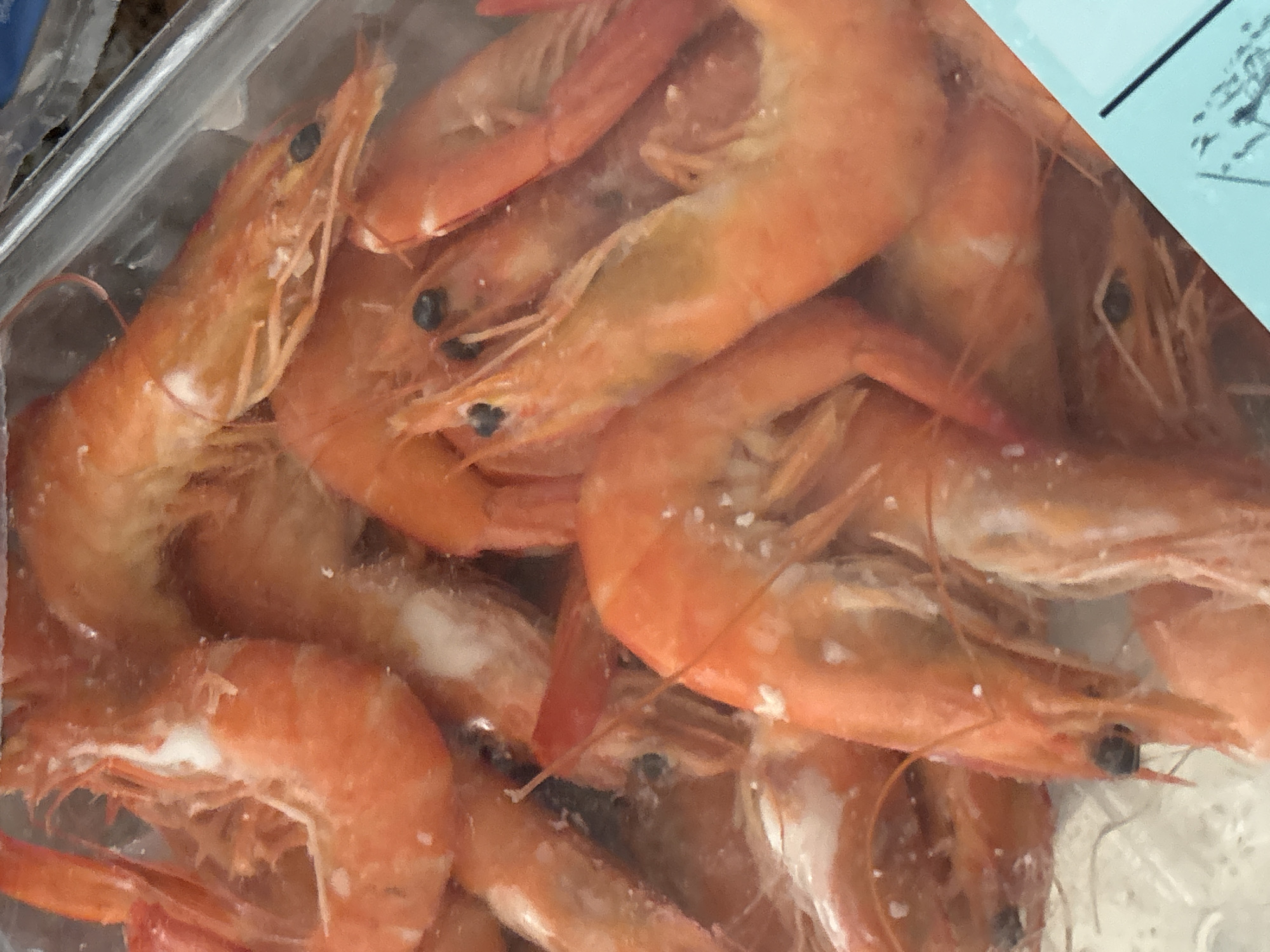 The image displays a close-up, overhead view of a container filled with numerous cooked shrimp. The shrimp are primarily orange in color with some lighter, white translucent segments. Many of them appear to have a dusting of salt on their shells. The shrimp are densely packed, with their bodies curved and overlapping. Their heads, complete with black eyes and antennae, are visible on several of them. The container appears to be made of clear plastic, and a portion of a light blue label is visible in the bottom right corner of the image. The lighting is bright and casts minimal shadows, suggesting an indoor setting. There are no people or animals visible in the image. There is no information to determine the location in the city of Orihuela, Spain.