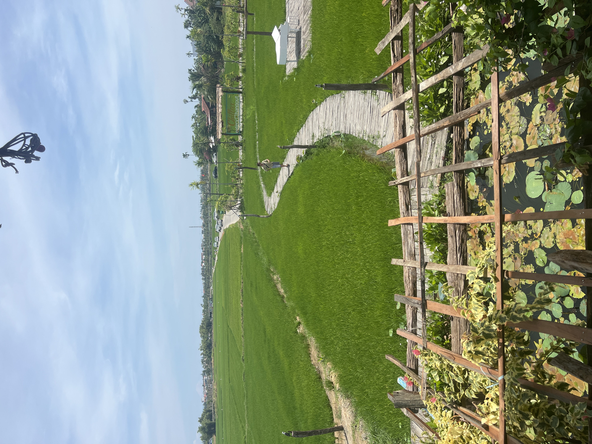 The image depicts a view from an elevated perspective, looking out over a vibrant green rice paddy in Hoi An, Vietnam. A weathered wooden pathway, constructed from planks, meanders through the rice fields. In the distance, a person is visible walking along this path. To the right of the pathway, a white, grand piano sits on a wooden platform. Further in the background, trees and buildings are scattered across the landscape, with a road and several cars visible. The sky is partly cloudy, with a clear blue expanse. In the foreground, a rustic wooden structure with scattered foliage and lily pads in a dark water body is visible, suggesting this viewpoint is from a shaded seating area or balcony. The overall scene captures a tranquil rural setting with hints of modern amenities.