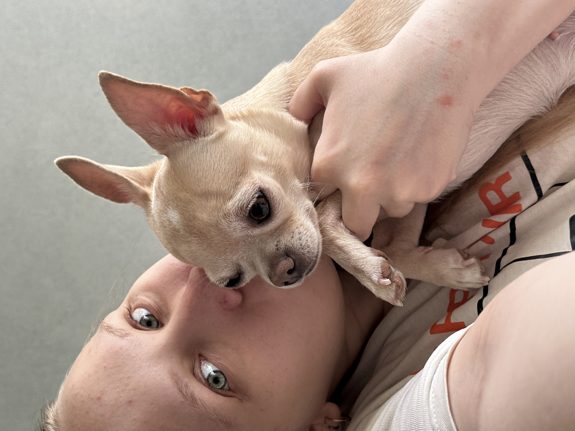 A person with fair skin and blue eyes is lying on their back with a light-colored Chihuahua puppy resting on their chest. The puppy is also fair-skinned, with large, pointed ears. The person is holding the puppy with their left hand. They are wearing a white t-shirt with orange lettering. The background is a plain gray wall. The location cannot be determined.