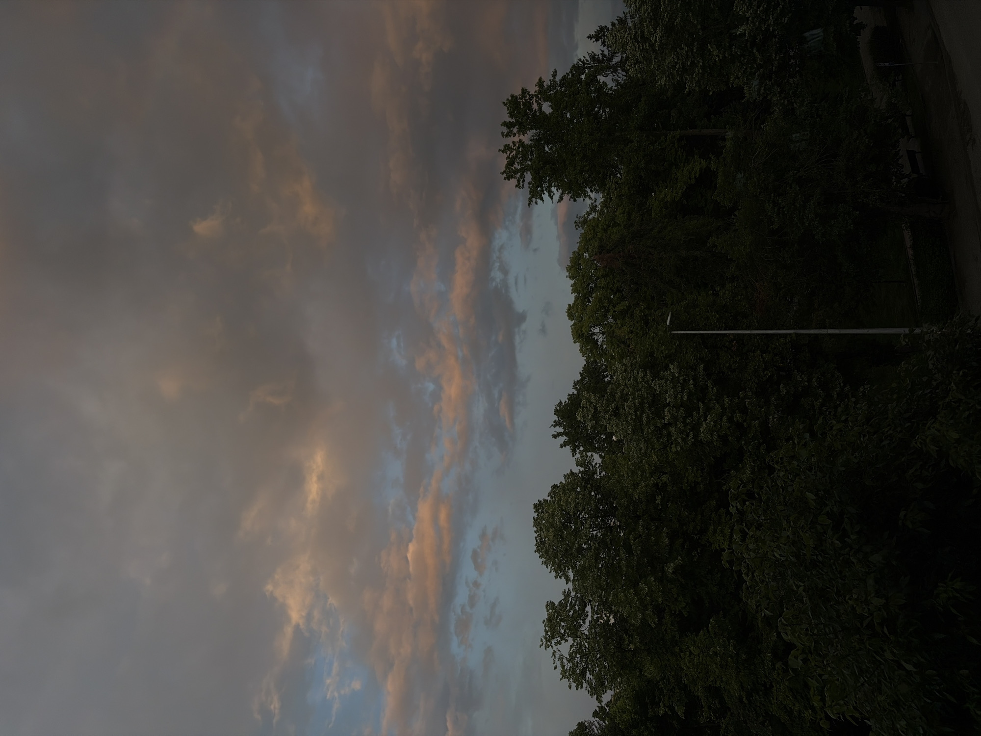 The image displays a scenic view of a cloud-filled sky contrasting with a dark line of trees, captured during what appears to be either sunrise or sunset. The sky, which occupies the majority of the left and central portions of the frame, features a mix of grey and blue clouds. Several cloud formations are illuminated by warm, soft light, showcasing hues of orange, pink, and yellow, characteristic of golden hour lighting. To the right, a dense canopy of trees forms a dark, almost silhouetted mass against the lighter sky, with their foliage appearing deep green to black due to being in shadow. A slender, white pole, possibly a street lamp, is faintly visible extending vertically from within the trees towards the bottom right corner, suggesting the presence of an artificial structure within a natural setting, perhaps a roadside or park pathway. No people or specific events are depicted. The weather appears partly cloudy. The scene conveys a sense of peacefulness and natural beauty. There is no visible text in the image.