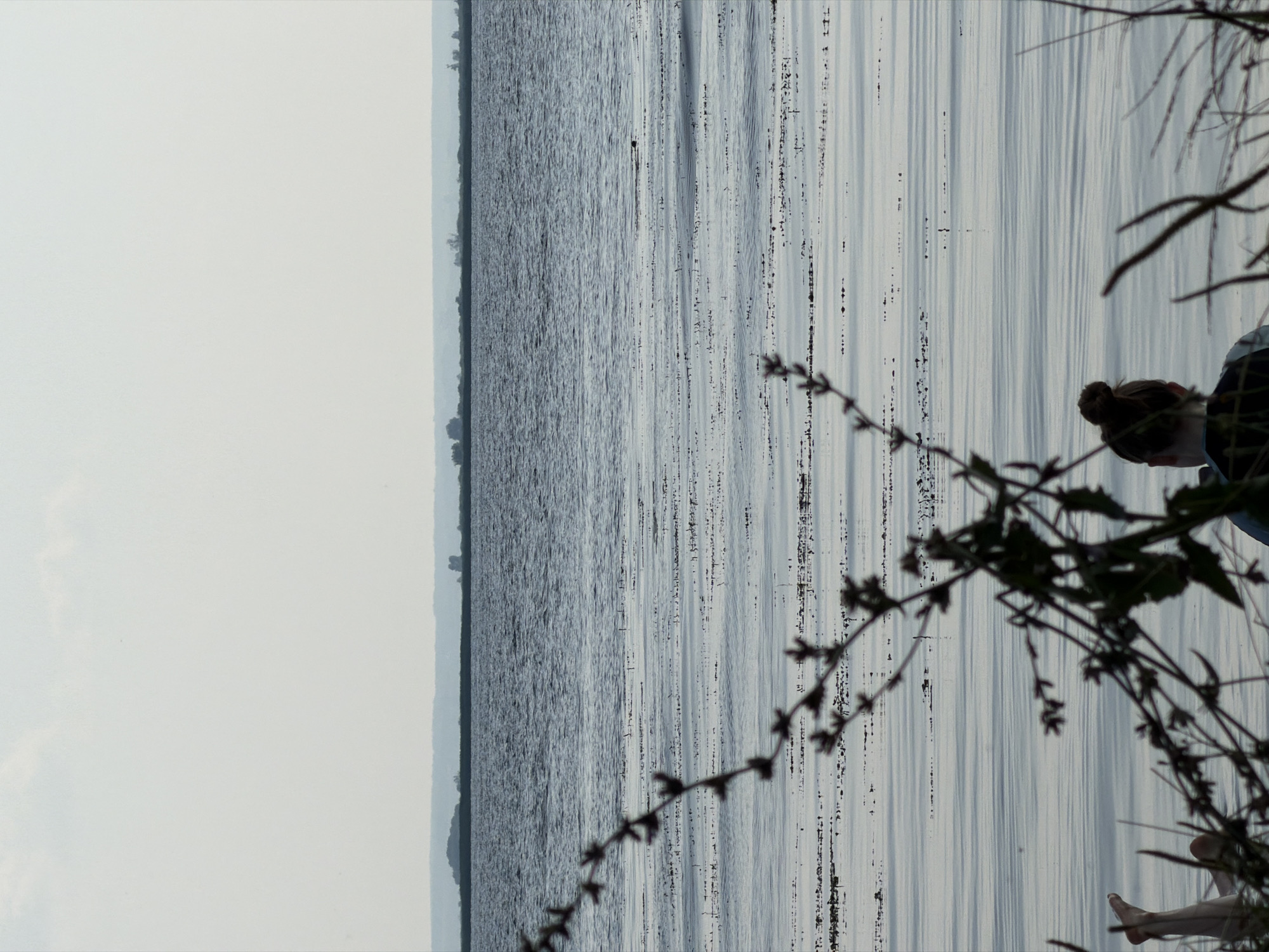 The image shows a view across a body of water, possibly a river or lake, with a distant shoreline featuring a faint, hazy treeline. In the foreground, a dark, leafy branch of vegetation partially obscures the view. The water is calm with subtle ripples, and appears to have patches of dark material floating on its surface. In the mid-ground, to the left, a person's legs are visible, appearing to be submerged in the water, suggesting they might be swimming or wading. Further to the right and closer to the foreground, a person is seen from behind, seated and looking out at the water. Their hair is pulled up in a bun, and they are wearing dark clothing. The overall atmosphere is serene and somewhat muted, with overcast skies. The location is identified as Красный Бор, Russia.