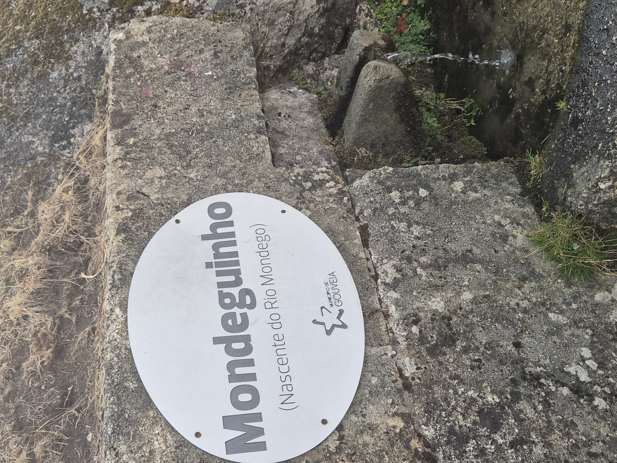 The image shows a sign that reads "Mondeguinho (Nascente do Rio Mondego)" which translates to "Mondeguinho (Source of the Mondego River)". Below the text, there is a logo with a star and "MUNICIPIO DE GOUVEIA", indicating the municipality of Gouveia, Portugal. The sign is mounted on a rough, grey stone wall. To the right of the sign, water is flowing from a spout carved into the stone, creating a small pool. The area surrounding the fountain is rocky and has some vegetation, including grass and moss. The ground in the foreground is a mix of dark asphalt and gravel. The background shows dry, yellowish grass and more of the stone wall. The overall scene depicts a natural spring, likely a tourist attraction or a historical site within Gouveia.