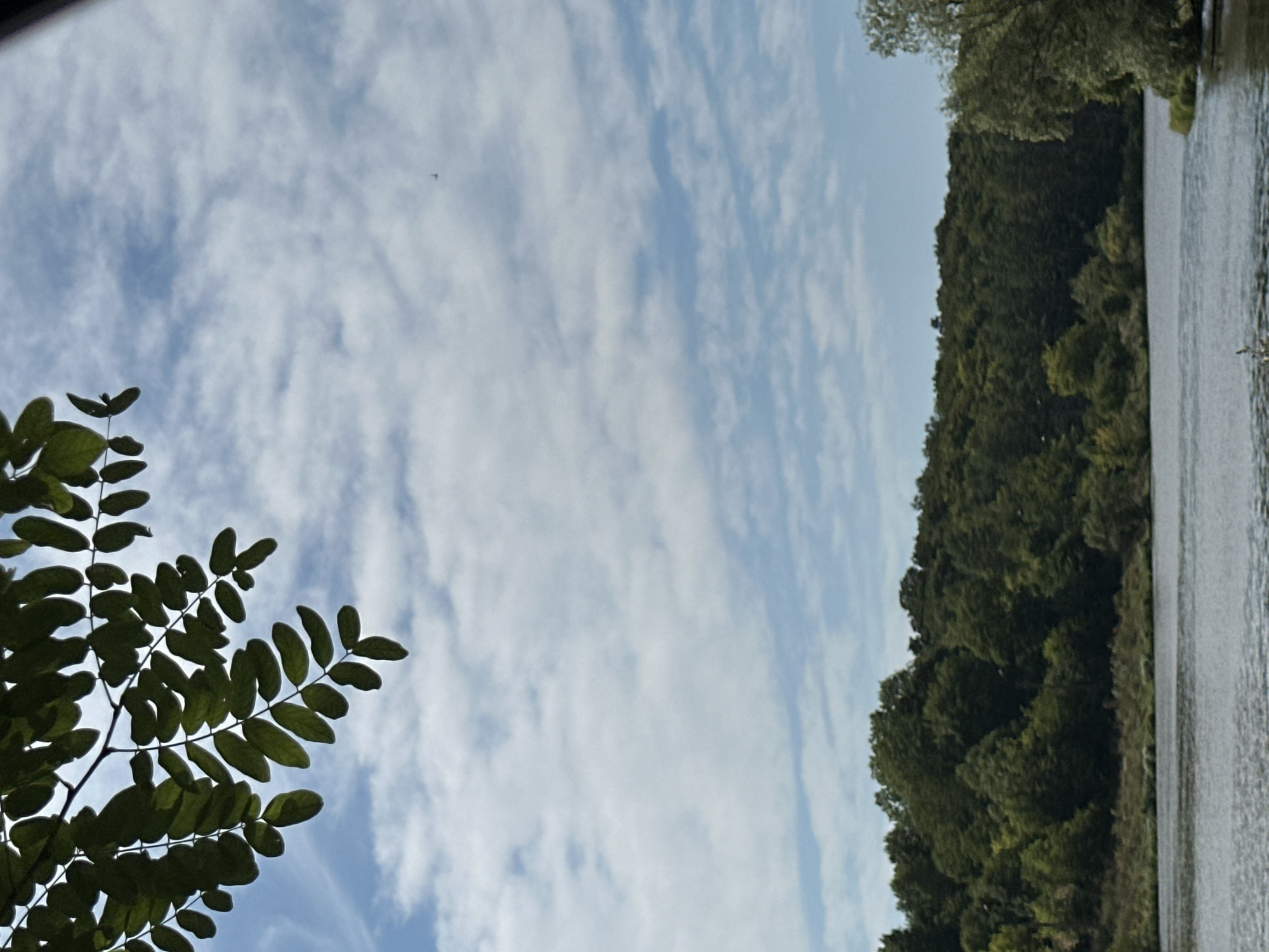 The image shows a body of water in Makiv, Ukraine, with a treeline in the background and a branch of green leaves in the foreground, against a cloudy sky. The water is calm and reflects the light. The treeline consists of dense, dark green trees. The sky is blue with scattered white clouds. There is no evidence of any people or specific structures visible in the image.
