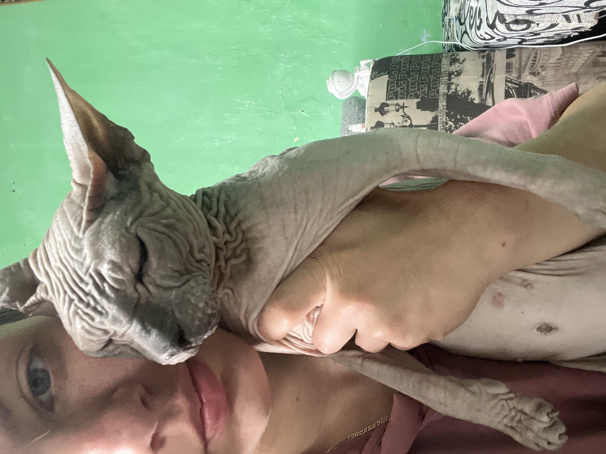 A woman is holding a Sphynx cat. The cat is laying on her chest and neck. The background includes a green wall and a pillow with a black-and-white pattern.
Location: Unidentifiable, but based on the prompt, potentially Nizhny Tagil, Russia.