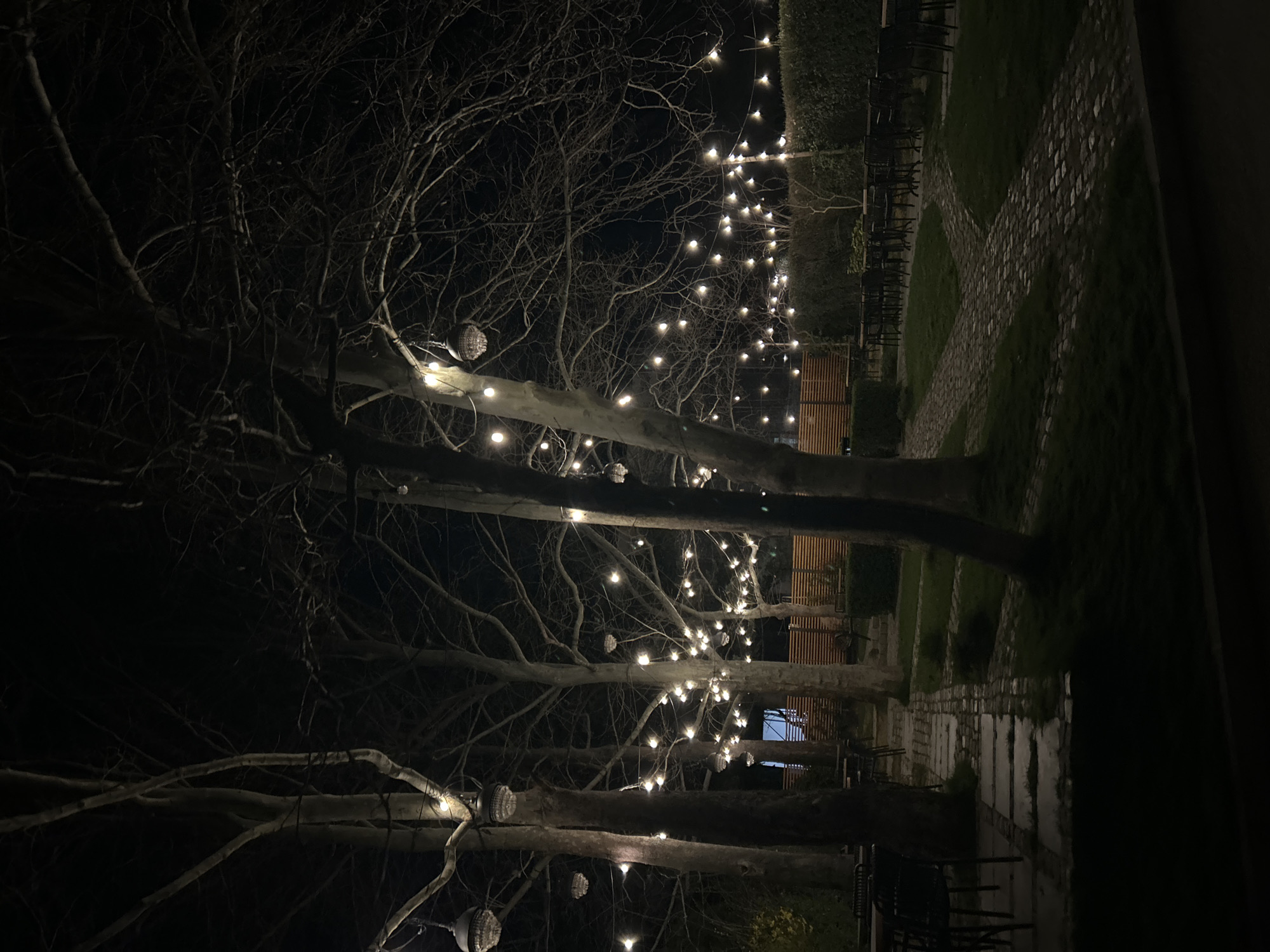 The image depicts a night scene in what appears to be an outdoor garden or courtyard. Bare trees with string lights are prominent in the foreground, stretching along a pathway. The pathway is constructed with light-colored stones and grass, with chairs lining one side. The lighting is dim, primarily from the string lights that are hung from the trees. The image orientation is rotated from its original form, resulting in a vertical view. Based on the image evidence, it is not possible to definitively confirm the location in Varna, Bulgaria.