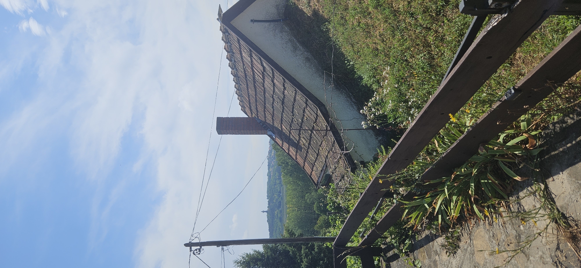 The image captures a partially overgrown rural landscape under a bright blue sky with scattered clouds. In the foreground, a rustic wooden fence runs diagonally across the frame, partially obscuring a concrete pathway and dense green vegetation. Beyond the fence, a small, weathered house with a red-tiled roof and a brick chimney sits on a grassy slope. A utility pole with wires stands to the left of the house. In the distance, a lush green forest stretches towards rolling hills, and a distinct tower-like structure is visible on the horizon. The scene suggests a quiet, possibly abandoned, property on the outskirts of a settlement.