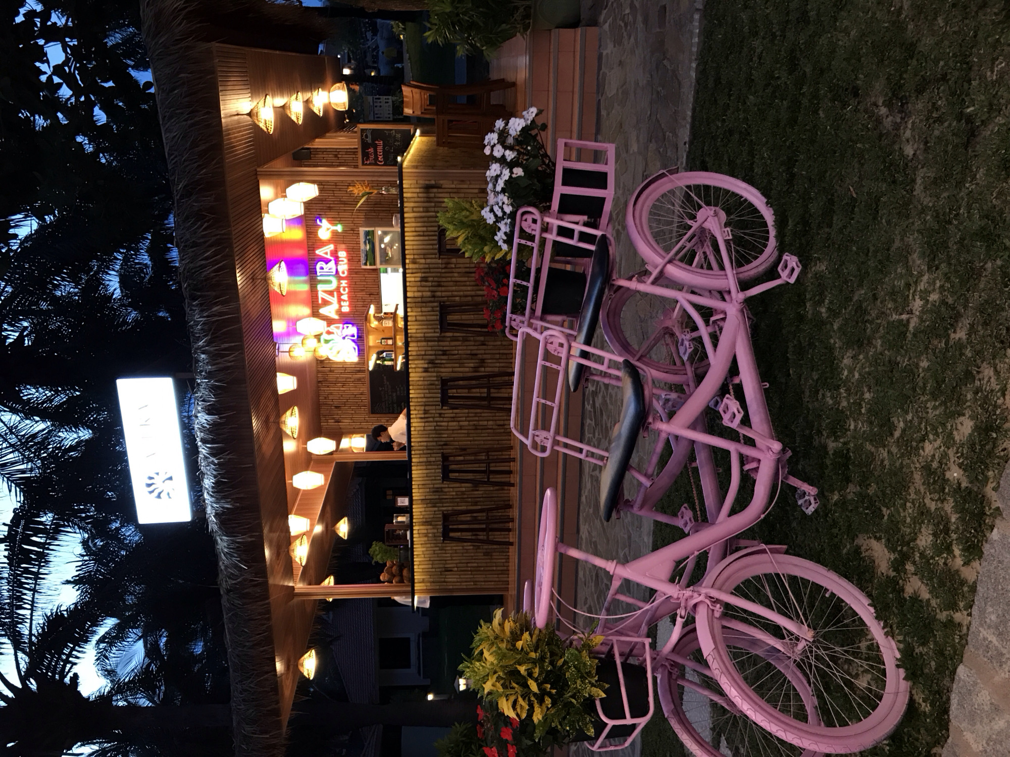 In Phu Thuy Ward, Vietnam, a vibrant pink tandem bicycle with a basket and planter stands on a grassy area in front of a thatched-roof bar at dusk. The bar, named "AZURA BEACH CLUB," features bamboo paneling, illuminated signage, and hanging pendant lights. Behind the bar, a person is visible. The scene is set against a backdrop of palm trees and a dimly lit sky.