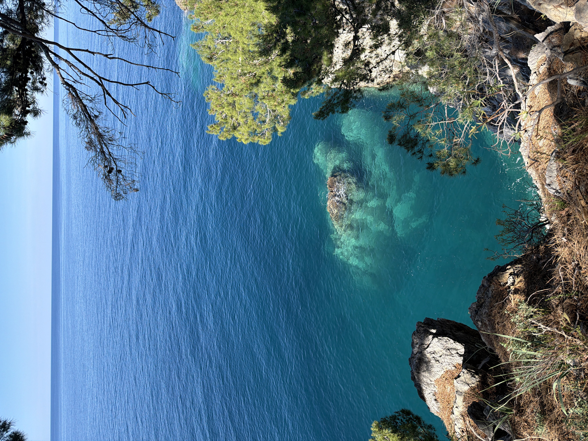 A vertically oriented, high-angle shot displays a rocky coastline in Petrovac centar, Montenegro. The leftmost portion of the image features a vast expanse of the deep blue sea meeting a clear, pale blue sky on the horizon. To the right, the water transitions to a lighter, turquoise color near the shore. A rock formation is visible in this shallower area. A variety of vegetation, including green trees and dry, brown grasses and foliage, cover the rocky cliff edge. The image is framed by tree branches and greenery at the top and sides, adding a natural border to the scene.