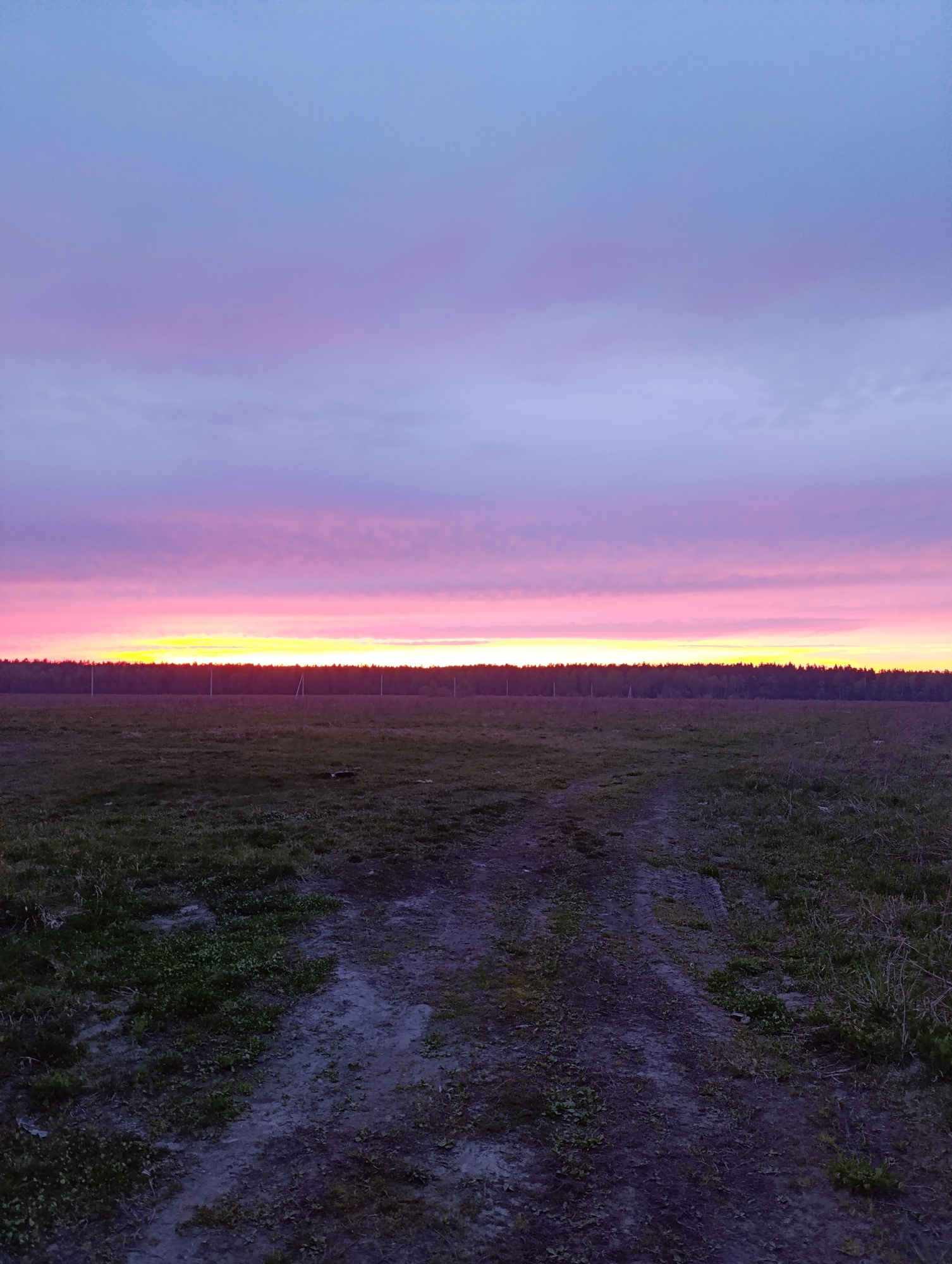 The image depicts a field at dusk or dawn. A path leads from the foreground towards the center of the frame. The field is covered in low-lying vegetation. In the distance, a line of trees is visible along the horizon. The sky exhibits hues of purple, pink, and yellow, suggesting either sunrise or sunset. The location appears to be rural with no immediate indication of being within a city.