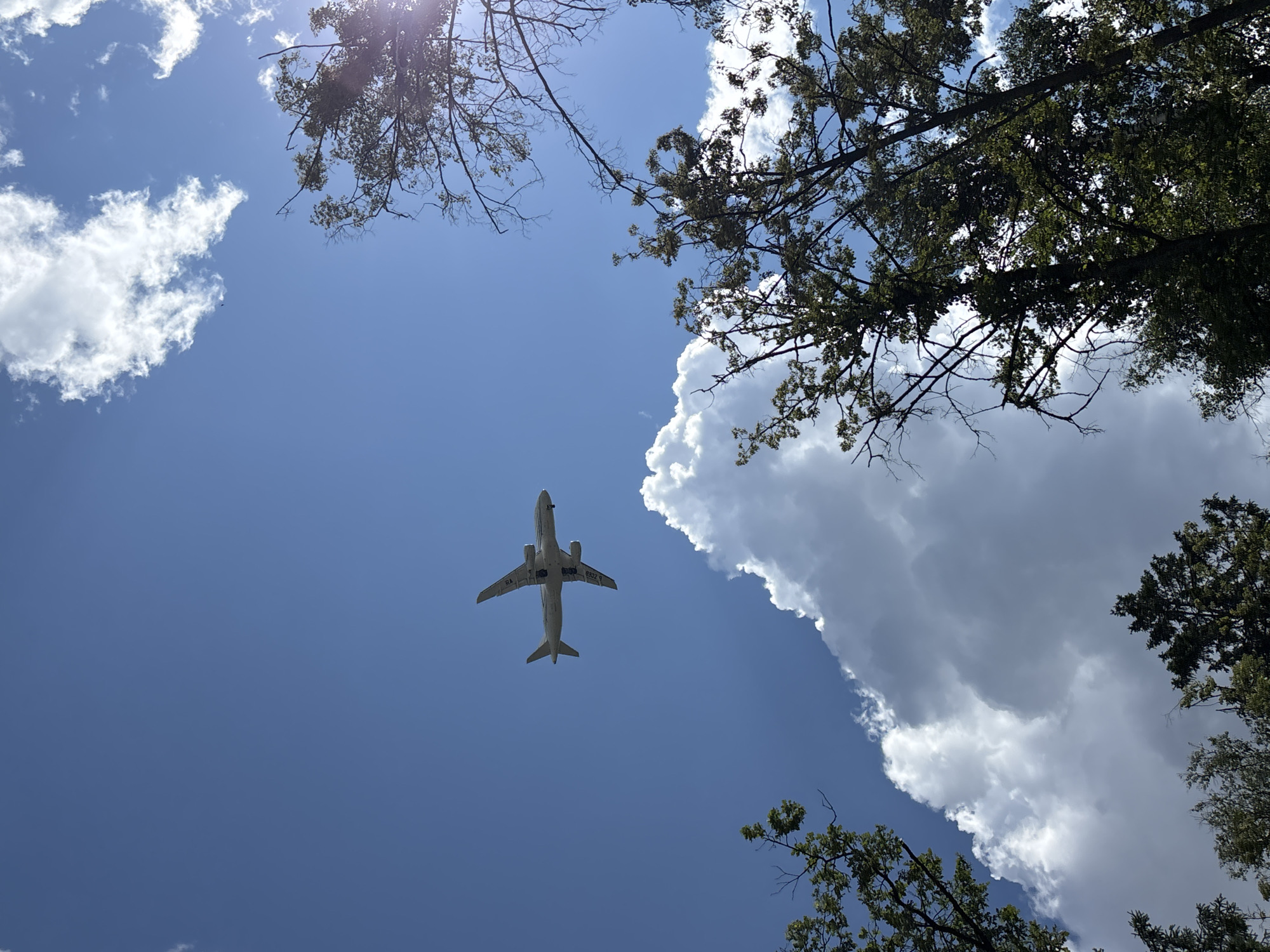 An airplane is captured flying in a blue sky with scattered white clouds above the trees in Vnukovo, Russia. The airplane appears to be a commercial jet, possibly a Tupolev Tu-204, with its landing gear down, suggesting it is in the process of landing or taking off. The trees frame the sky from the bottom and right of the image, with their branches extending into the frame. The sunlight creates a slight glare in the upper right corner of the image. There are no people visible in the frame.