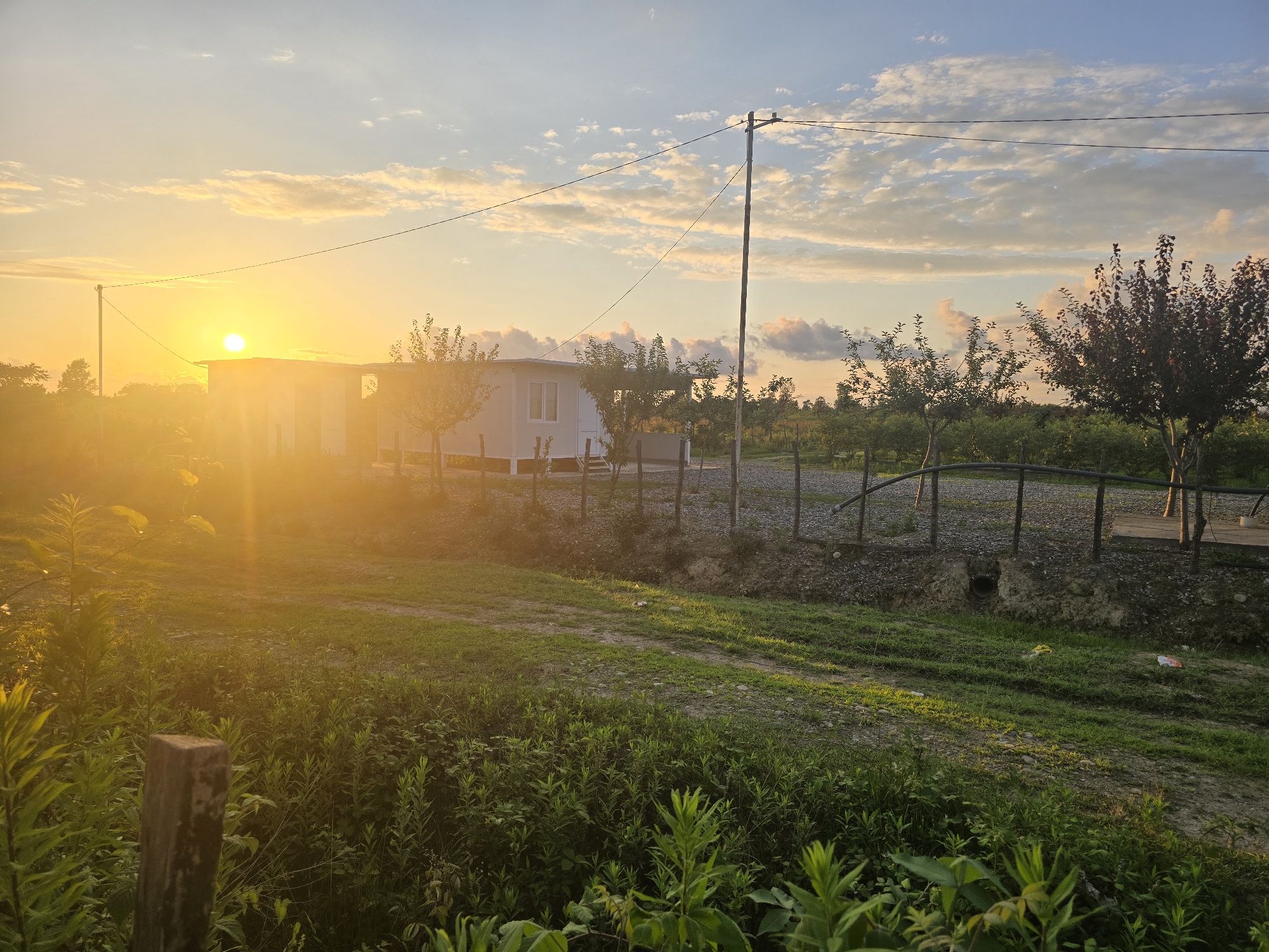 A tranquil sunset bathes a rural landscape in golden light. The scene features a small, modern white building situated amongst lush greenery and young trees. A wooden fence with vertical posts encloses a path leading towards the building and beyond, where more trees and foliage are visible. In the foreground, tall green plants and a weathered wooden post add depth to the composition. The sun, a bright orb, hangs low in the sky, casting long shadows and creating a warm, inviting glow. Wispy clouds are scattered across the pale blue sky, illuminated by the setting sun. A utility pole with wires runs across the upper portion of the image, suggesting the presence of infrastructure. The overall mood is peaceful and serene, evoking a sense of calm and natural beauty. No people or visible text are present in the image. The scene appears to be set in Ingiri, Georgia, given the provided location context.