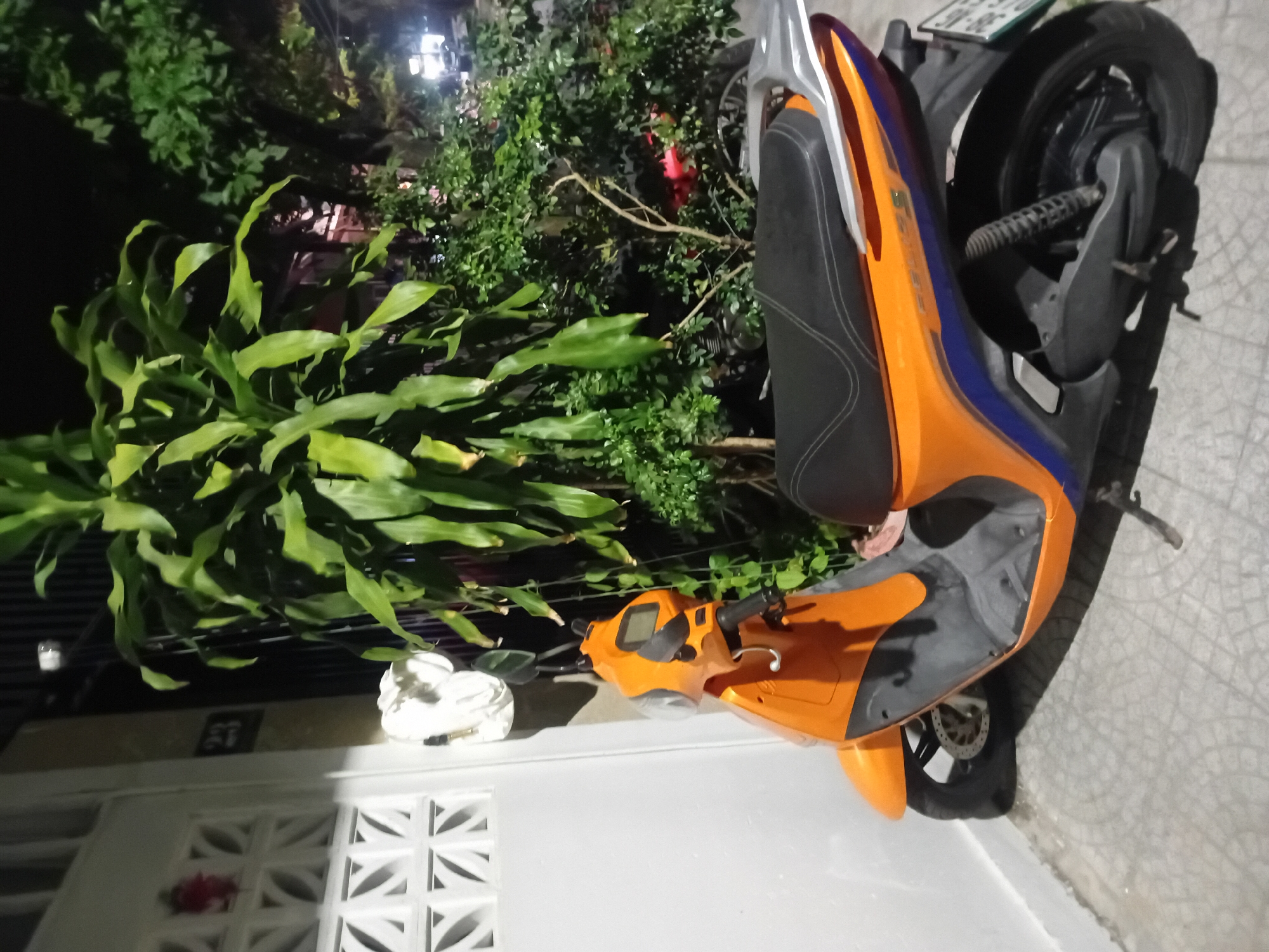 This media file captures a nighttime scene in Đà Nẵng, Vietnam, featuring an orange and blue electric scooter parked on a tiled walkway. The scooter is the primary subject, with its seat and front handlebars clearly visible. Behind the scooter, lush green foliage from a large plant and a dense shrubbery are prominent. In the background, a bright light source illuminates the area, suggesting it's evening or night.
To the left of the scooter, a white residential door with decorative vents is partially visible, and a white decorative bird statue sits on the ledge above it. A small, dark rectangular sign with what appears to be Vietnamese characters is mounted on the wall near the bird statue. The overall setting appears to be a residential area or a private entrance. The lighting and shadows indicate it is night. No people are visible in the frame, and the atmosphere is quiet and still. A partial view of a license plate on the scooter shows some characters but is not clearly legible. The weather appears clear.