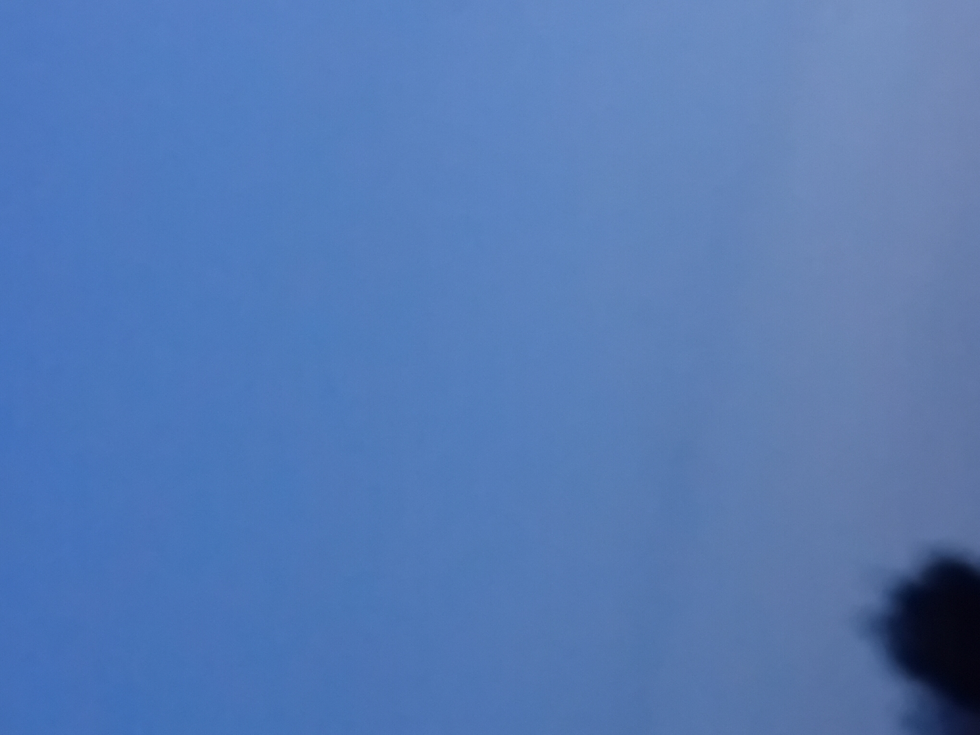 A dark, blurry silhouette of a bird is visible in the lower right corner of the frame, against a bright blue sky. The bird appears to be in flight, with its wings spread. The sky is mostly clear, with a few wispy clouds in the distance. The overall impression is one of a peaceful, serene moment captured in nature. The image is likely taken outdoors during the daytime, given the bright blue sky. The location is specified as Verkhniachka, Ukraine. There is no visible text in the image.
