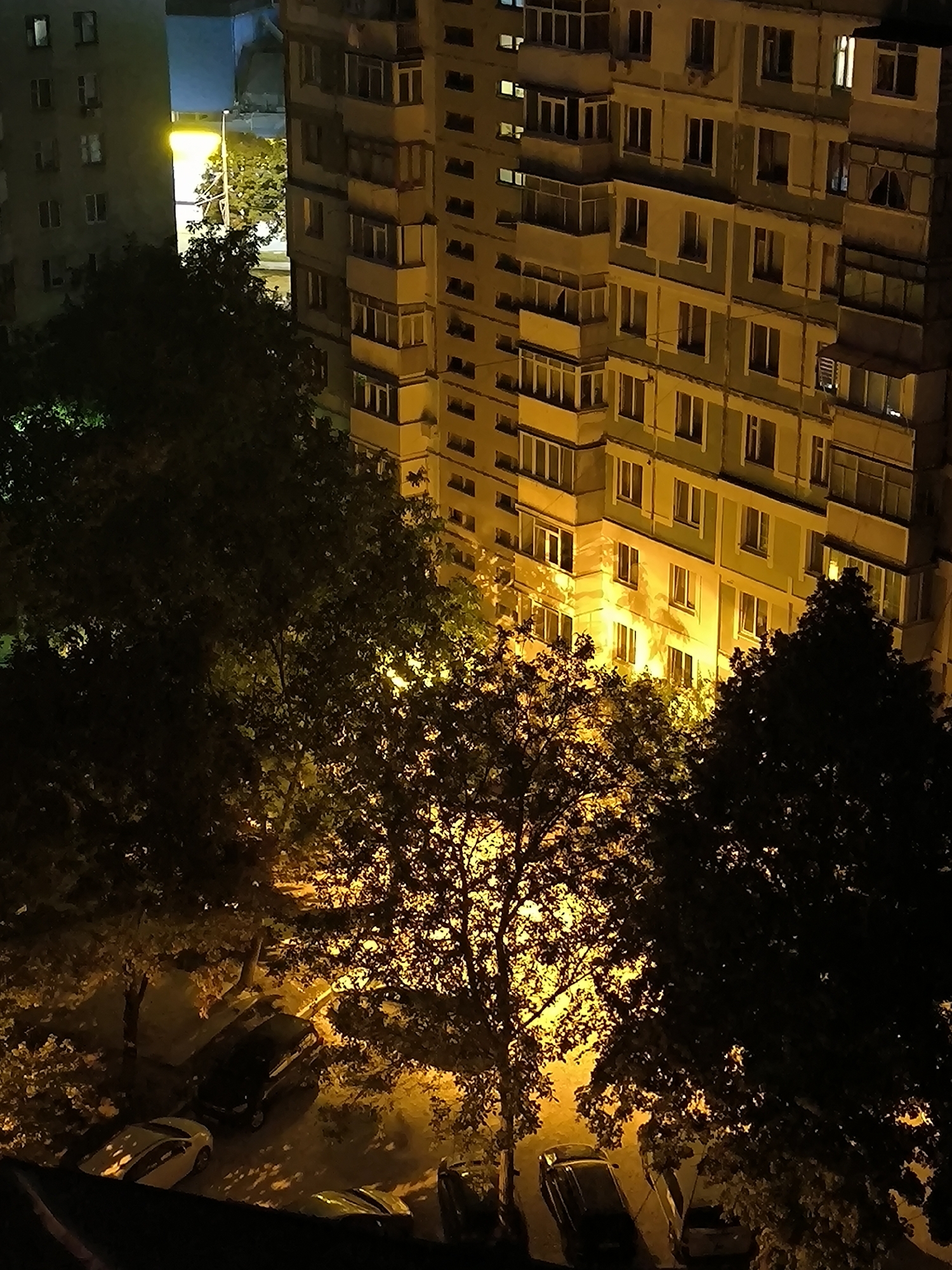 An exterior, elevated, medium shot captures a nighttime scene in a residential area of Chișinău, Moldova. The image is dominated by the facade of a multi-story apartment building, illuminated by warm, artificial light that highlights its yellow and green exterior. Numerous windows, some with balconies, punctuate the building. In the foreground, the dense foliage of several trees, silhouetted against the illuminated building, creates a dark, textured canopy. Interspersed within the trees and beneath them, parked cars are visible, their shapes and outlines faintly discernible in the dim light and shadows. The overall impression is one of urban nighttime stillness.