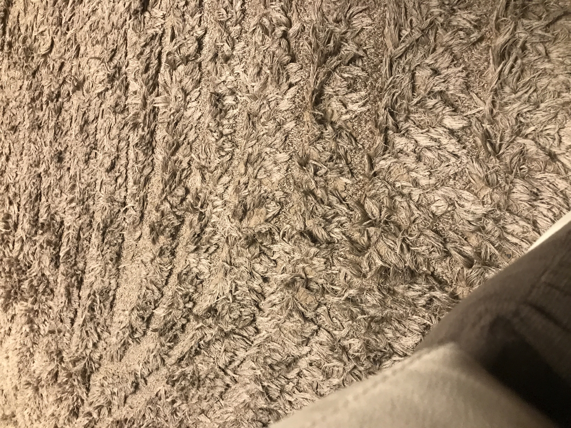 A close-up shot shows a textured, tan-colored shag rug. A portion of an upholstered piece of furniture or bedding in shades of gray and white is visible in the lower right corner of the image. The location in Yerevan, Armenia, is not evident from the image.