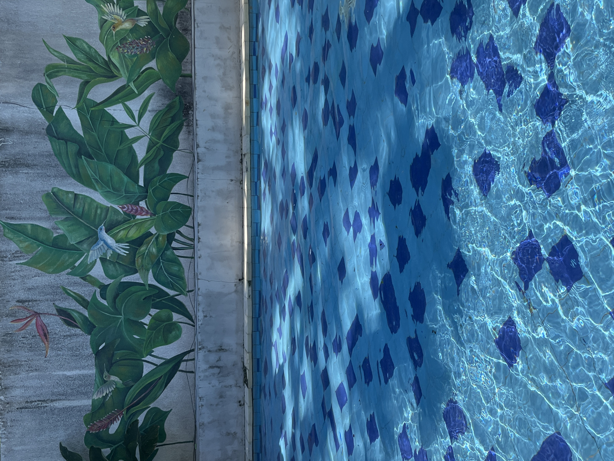 This image depicts a swimming pool in Kuta Selatan, Indonesia. The pool has a tiled bottom with a pattern of alternating light blue and dark blue squares. Sunlight refracts through the rippling water, creating dynamic patterns of light and shadow on the pool floor. In the background, a textured concrete wall features a mural of lush green tropical foliage and vibrant flowers, with several birds, possibly hummingbirds, painted amongst the leaves. The wall appears to be slightly weathered. The scene is an outdoor setting, likely a resort or a private residence, given the mural and the well-maintained pool. There are no people visible in the image.