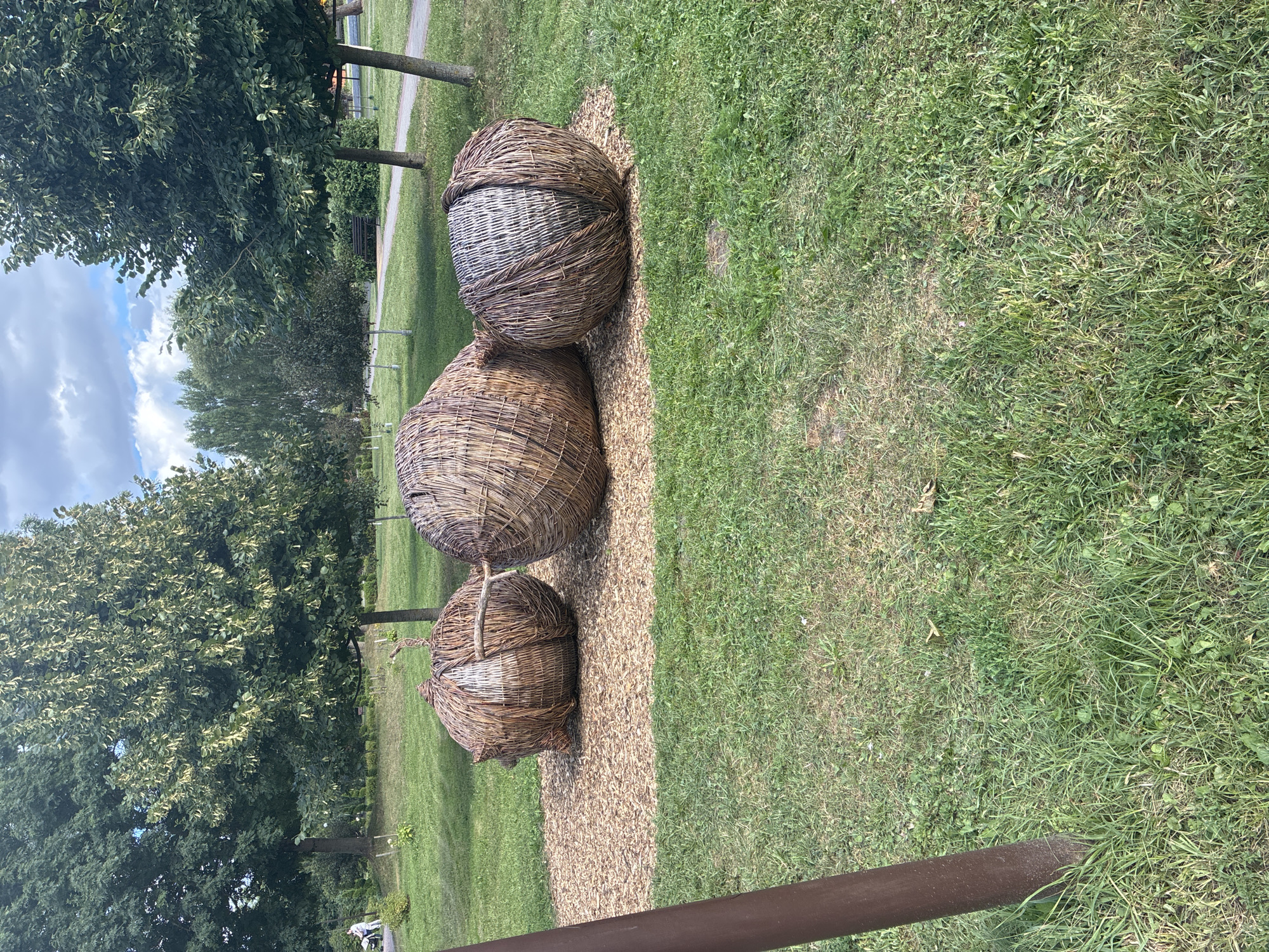 The image depicts three large, spherical sculptures made of woven natural materials, resembling oversized fruits, placed on a bed of wood chips in a grassy park. The sculptures are arranged in a cluster, with one slightly detached and connected to another by a woven rod, suggesting a grouping or a connected set. The park setting features mature trees with lush green foliage, a paved pathway in the background, and a cloudy sky. A dark brown, cylindrical post is visible in the lower left foreground, likely part of a park structure or sign. The overall scene is peaceful and appears to be an outdoor art installation in a public space.