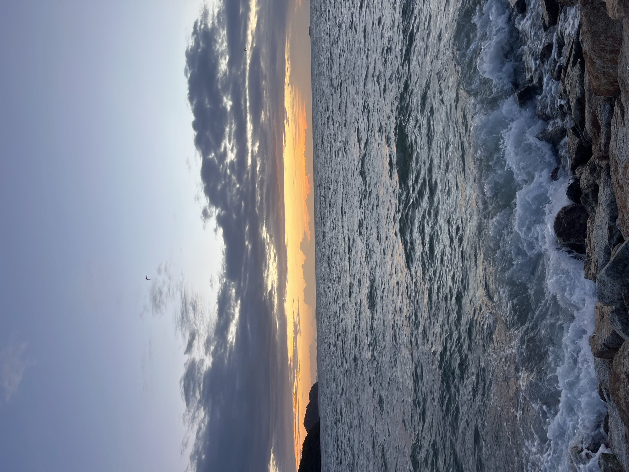 The image depicts a serene oceanfront scene at dusk in Ko Pha-ngan District, Thailand. The sky is a gradient of soft blues and purples, transitioning to a warm orange and yellow glow near the horizon, indicating the setting sun. Wispy clouds, some dark and others illuminated by the fading light, are scattered across the sky. A small, distant landmass with hills is visible on the left, silhouetted against the colorful sky. The ocean is choppy with moderate waves rolling towards a rocky shore in the foreground. White foam crests on the waves as they break against the stones. A single, dark object, possibly a bird or a kite, is visible in the upper portion of the sky. The overall atmosphere is tranquil and picturesque, characteristic of a tropical evening.