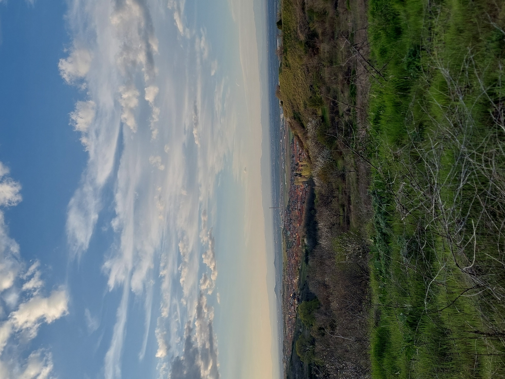 The image presents a landscape view from a hillside. On the right side, there is a grassy slope with some shrubs and bare branches. To the left of the slope, there is a cityscape with buildings. In the background, there are mountains. The sky is blue with scattered white clouds. The location is Unknown, Unknown.