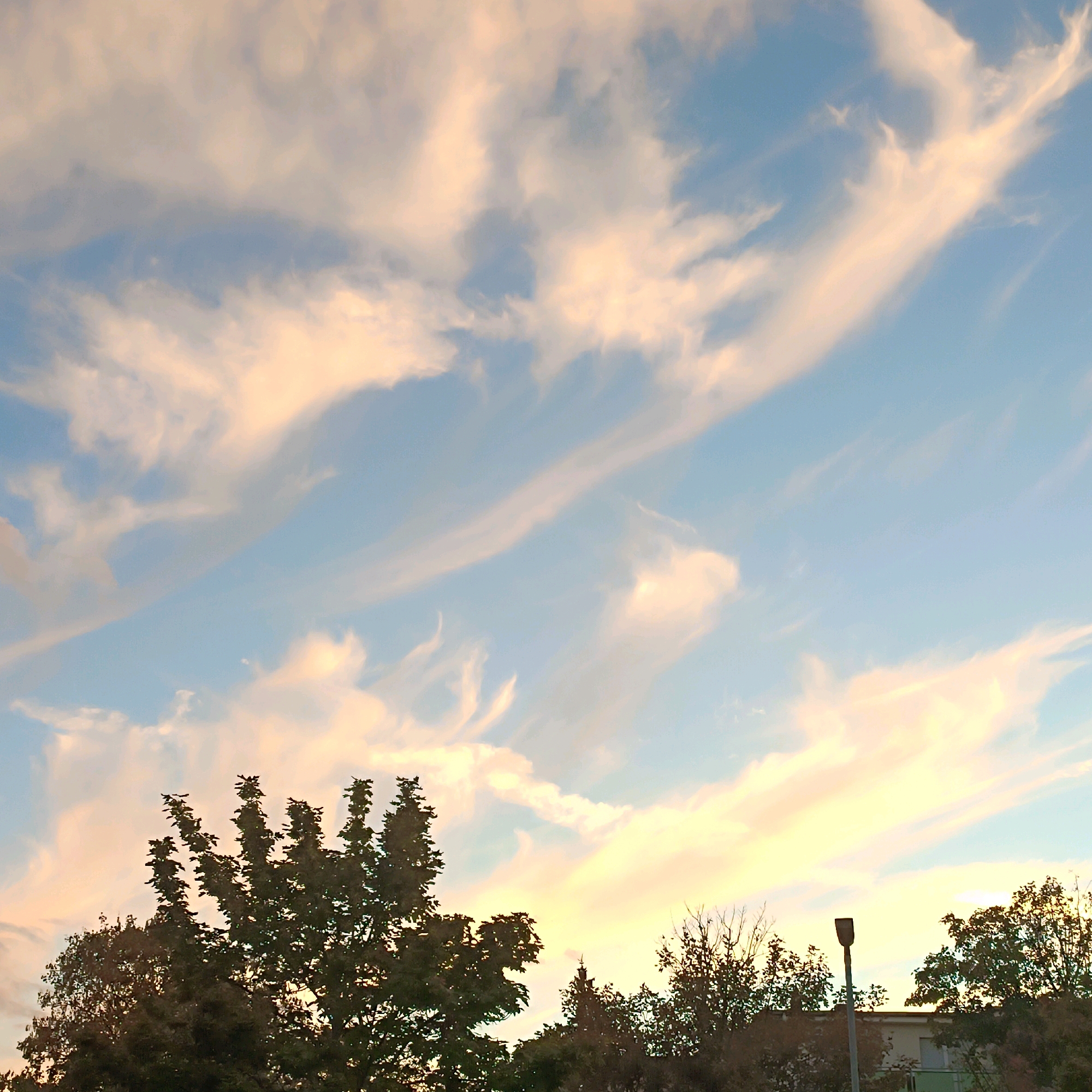 The image shows a sky with scattered clouds tinged with pink and yellow, indicating either sunrise or sunset. The sky is a light blue. In the foreground, silhouetted trees are visible, with the top portions of their branches reaching into the sky. On the right side, a portion of a building with a green trim is visible, as well as a street lamp. This scene is consistent with an outdoor environment in Rüsselsheim am Main, Germany, likely during twilight hours. No people or specific actions are depicted.