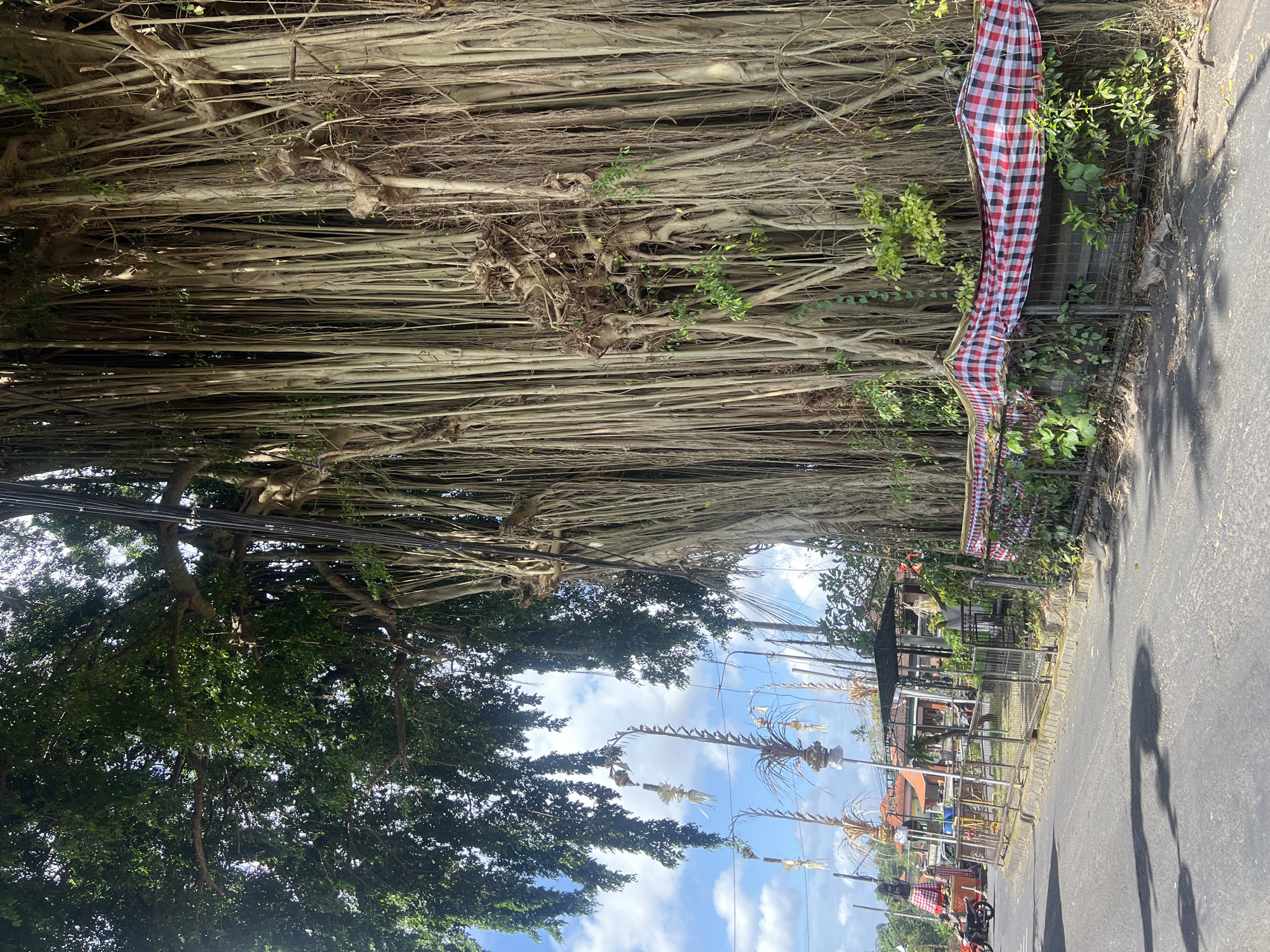 The image depicts a street scene in Mengwi, Indonesia, dominated by a large banyan tree with numerous aerial roots hanging down. The tree is situated on the right side of the frame, bordering a road. A checkered red and white cloth, possibly a ceremonial fabric, is draped over a fence in front of the tree. Beyond the fence, a few small buildings with orange tile roofs are visible. To the left of the road, there are several tall, decorated poles with offerings or decorations, and a person on a motorcycle is seen in the distance. The sky is blue with scattered white clouds. The road surface is asphalt, and a shadow of what appears to be a person is cast on it in the foreground. The overall environment suggests a roadside scene in a tropical location, likely a populated area given the buildings and the presence of a road and traffic.