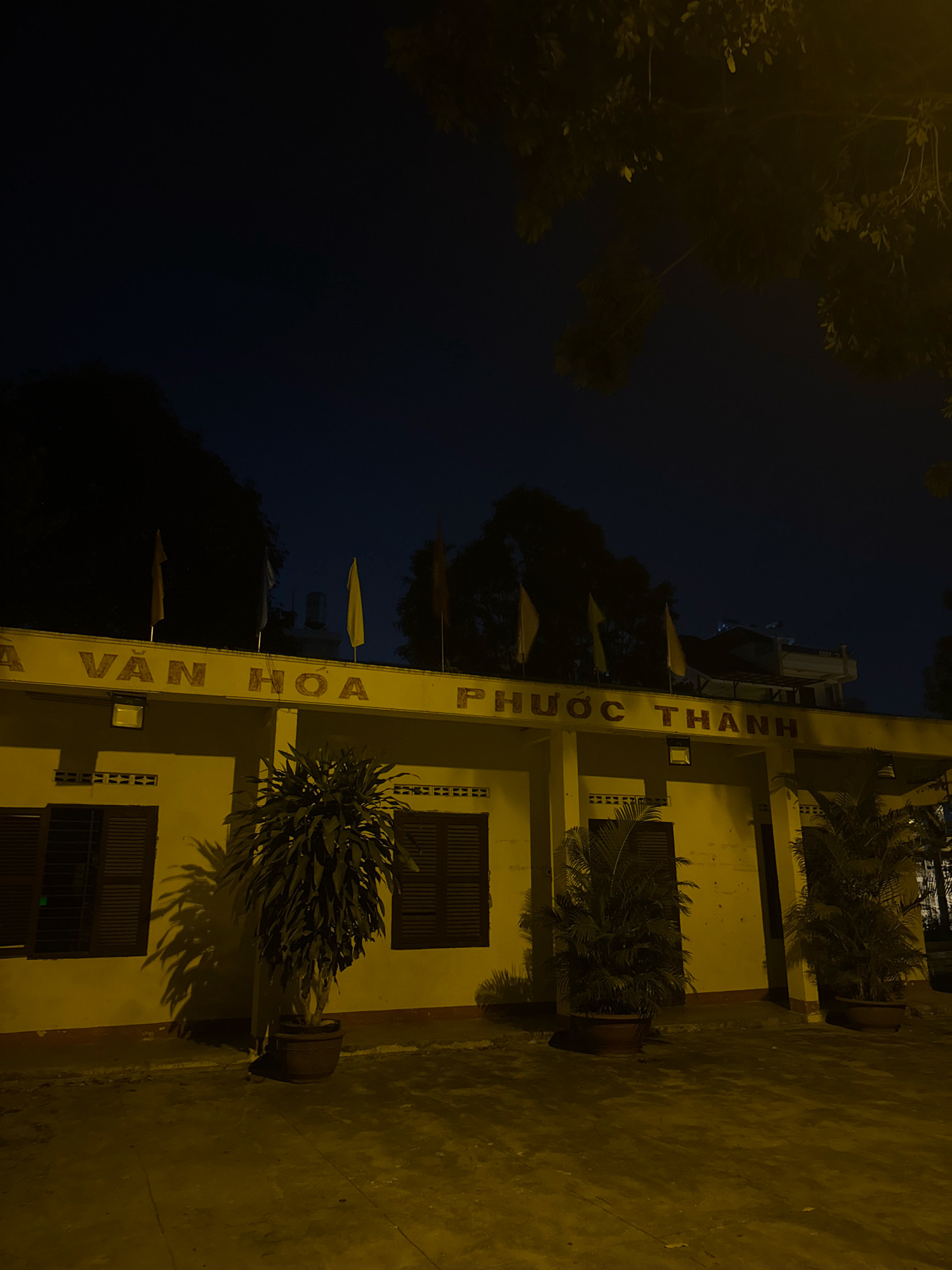 The image depicts a building at night, illuminated by artificial lights. The building has a light-colored facade with the words "VĂN HÓA PHƯỚC THÀNH" painted in large, yellow letters across the top. The facade features several dark-colored windows with louvered shutters, and some architectural details like horizontal bands and ventilation blocks. Several potted plants are placed in front of the building, including a large, bushy plant on the left and two palm-like plants on the right. Four flags, two yellow and two orange, are mounted on poles on the roof of the building. The sky above is dark, indicating nighttime, with some shadowy tree branches visible in the upper right corner. The ground in front of the building appears to be a paved surface, possibly concrete or asphalt, with dappled shadows cast by the plants. There are no people visible in the image. The scene suggests a cultural center or a similar public building in Nha Trang, Vietnam, at night.