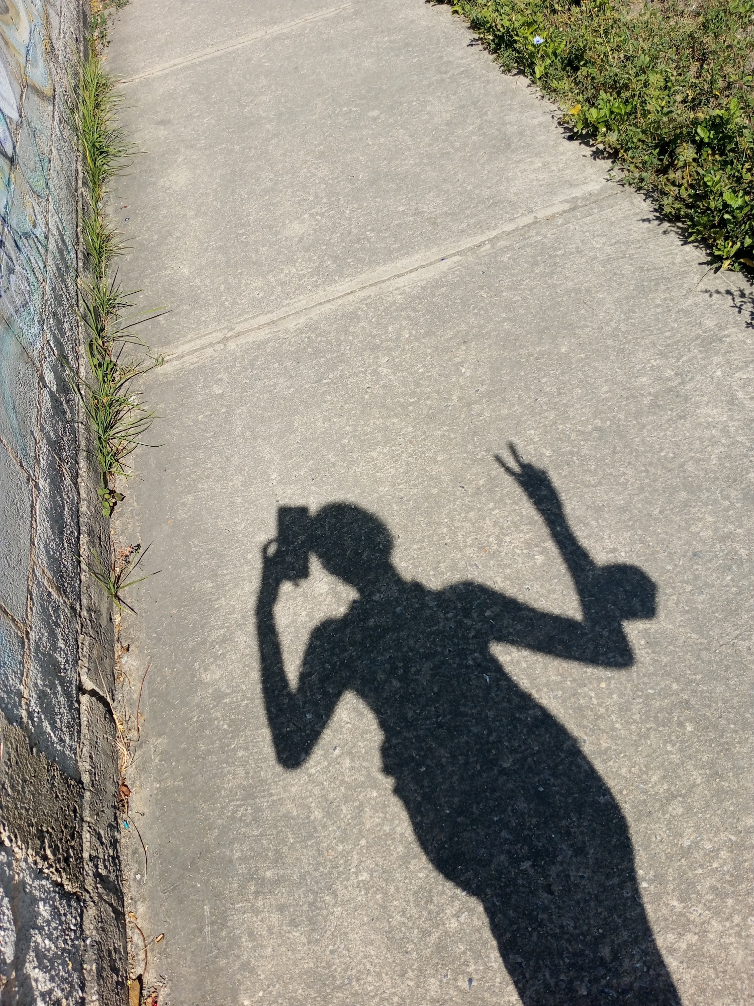 A shadow of a person is cast on a concrete sidewalk. The person is holding a phone in one hand and making a peace sign with the other. The sidewalk is bordered by grass on one side and a wall with graffiti on the other. The location is likely Palo Negro, Venezuela.
