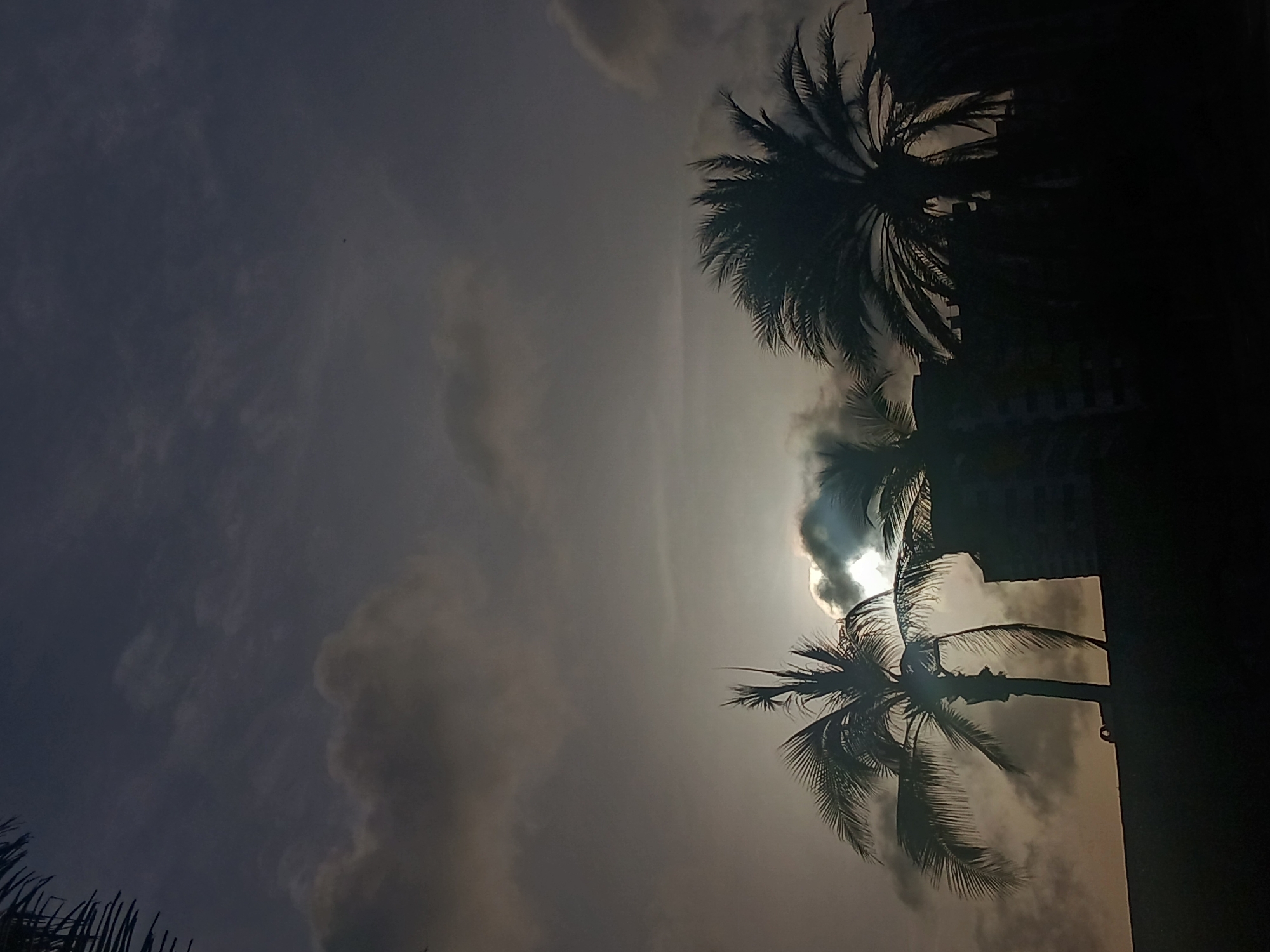 The image depicts a view in Porlamar, Venezuela, featuring silhouettes of palm trees against a cloudy, overcast sky with the sun partially obscured. The trees are silhouetted due to the backlighting of the sun. Some buildings are partially visible in the background, also silhouetted. The time of day is likely either sunrise or sunset. No people or other specific objects or activities are discernible.