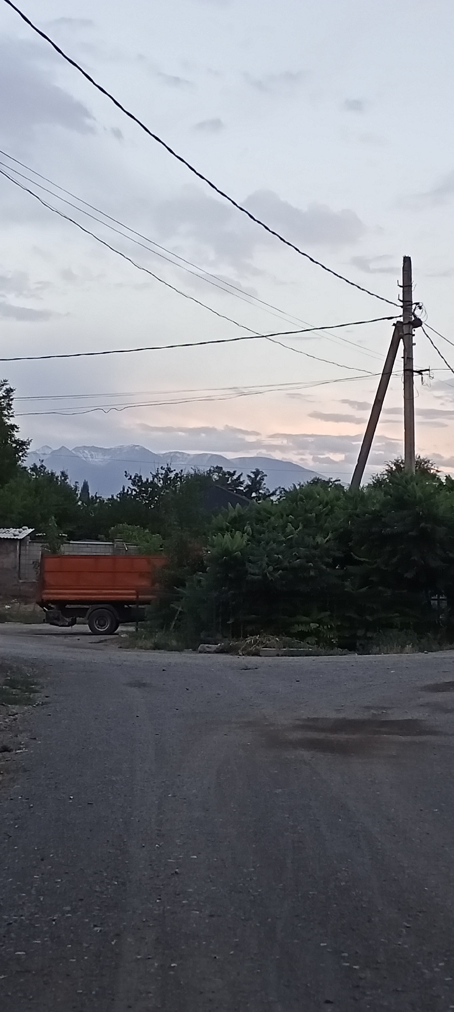 This is a full-frame, eye-level, vertical shot of a rural road in Sokuluk, Kyrgyzstan, under an overcast sky. In the foreground, the asphalt road shows some scattered pebbles and a few small puddles from recent rain. To the left, a light-colored brick wall is partially visible, followed by an orange dump truck parked on the side of the road. The truck has a single visible rear wheel and appears to be stationary. Behind the truck and extending across the middle ground is a dense growth of dark green foliage, obscuring much of the background. Beyond the trees, a range of snow-capped mountains is visible against a pale sky tinged with a faint pinkish hue, suggesting either dawn or dusk. A power pole with diagonal bracing stands to the right of the frame, supporting multiple electrical wires that stretch across the upper portion of the image, creating a linear pattern against the cloudy sky. The overall scene conveys a sense of quiet, rural stillness.