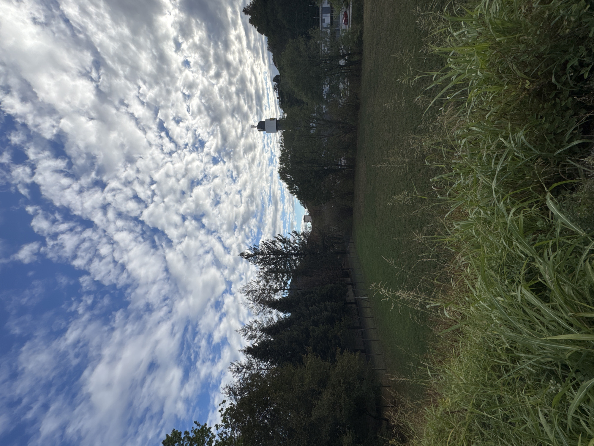 The image captures an outdoor scene in Morbio Inferiore, Switzerland, with a focus on a grassy field bordered by trees and a distant structure. The sky above is a mix of blue and white clouds, with sunlight filtering through. In the mid-ground, a line of dark green evergreen trees forms a dense barrier. Beyond the trees, a white tower with a dark cap and an antenna stands against the hillside. A small red car is visible on a road in the far distance, near a building complex. The foreground is dominated by tall green grass. The scene suggests a partly cloudy day in a semi-rural or suburban area.