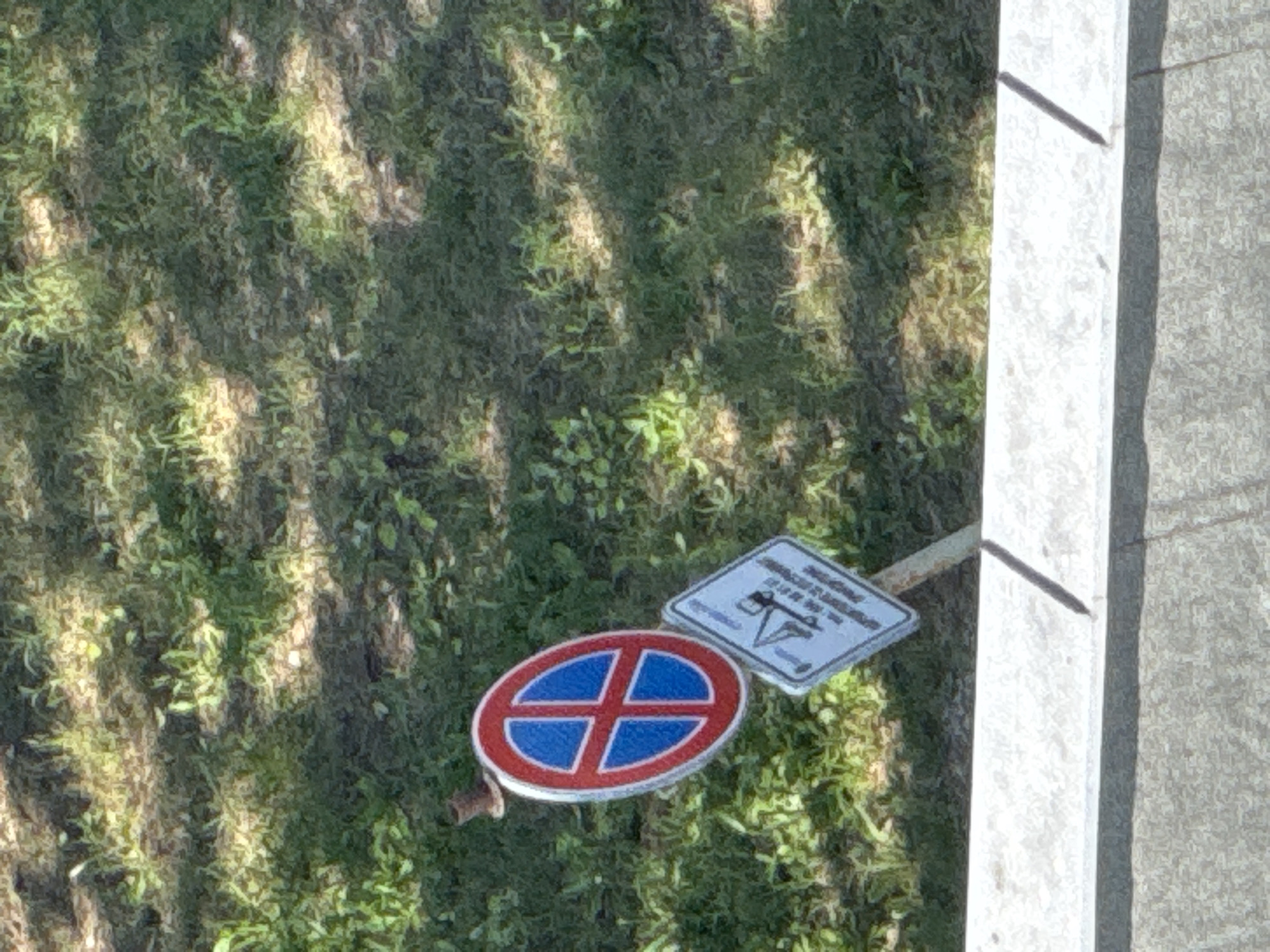 The image shows two traffic signs mounted on a metal pole. The primary sign is circular with a red border and a blue interior divided by a red cross, indicating a prohibition of parking. Below it, a rectangular sign with a white background and a black border displays a graphic of a tow truck and text in a foreign language. The signs are positioned on a grassy area with dappled sunlight, suggesting an outdoor location. A concrete structure is visible in the foreground. The overall scene is devoid of people or any discernable activity.