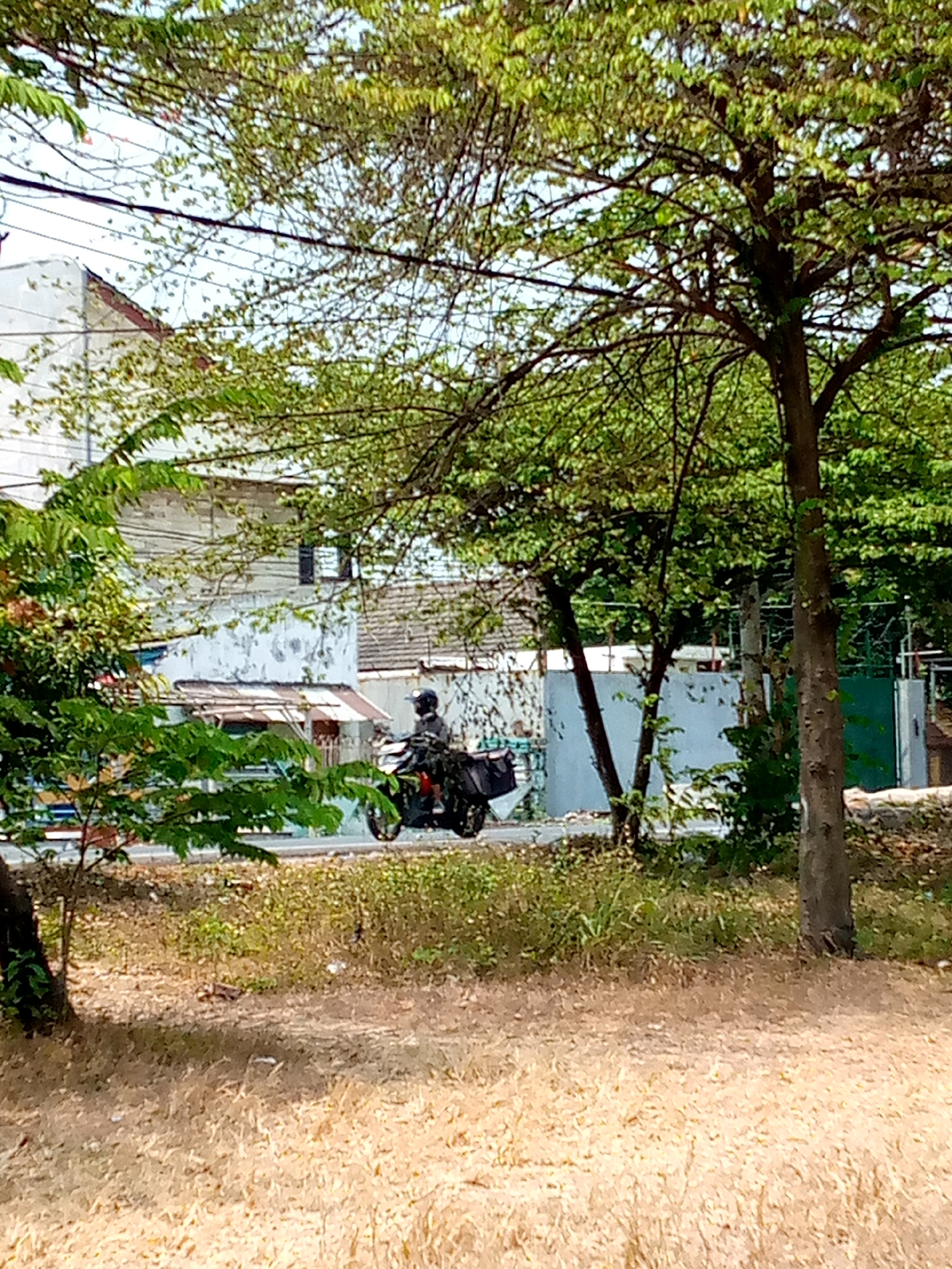 In Pacing, Indonesia, a person is riding a motorcycle with a large black box attached to the rear. The rider is wearing a dark helmet and dark clothing. The motorcycle is traveling on a paved road that runs past a building with a white, weathered facade. The building has multiple windows and appears to be in a state of disrepair, with visible cracks and stains on its exterior. Lush green trees with dense foliage line the road and partially obscure the view of the building and its surroundings. The ground is covered with dry grass and some scattered leaves. Power lines are visible stretching across the upper portion of the image. In the background, a green metal gate and fence can be seen.