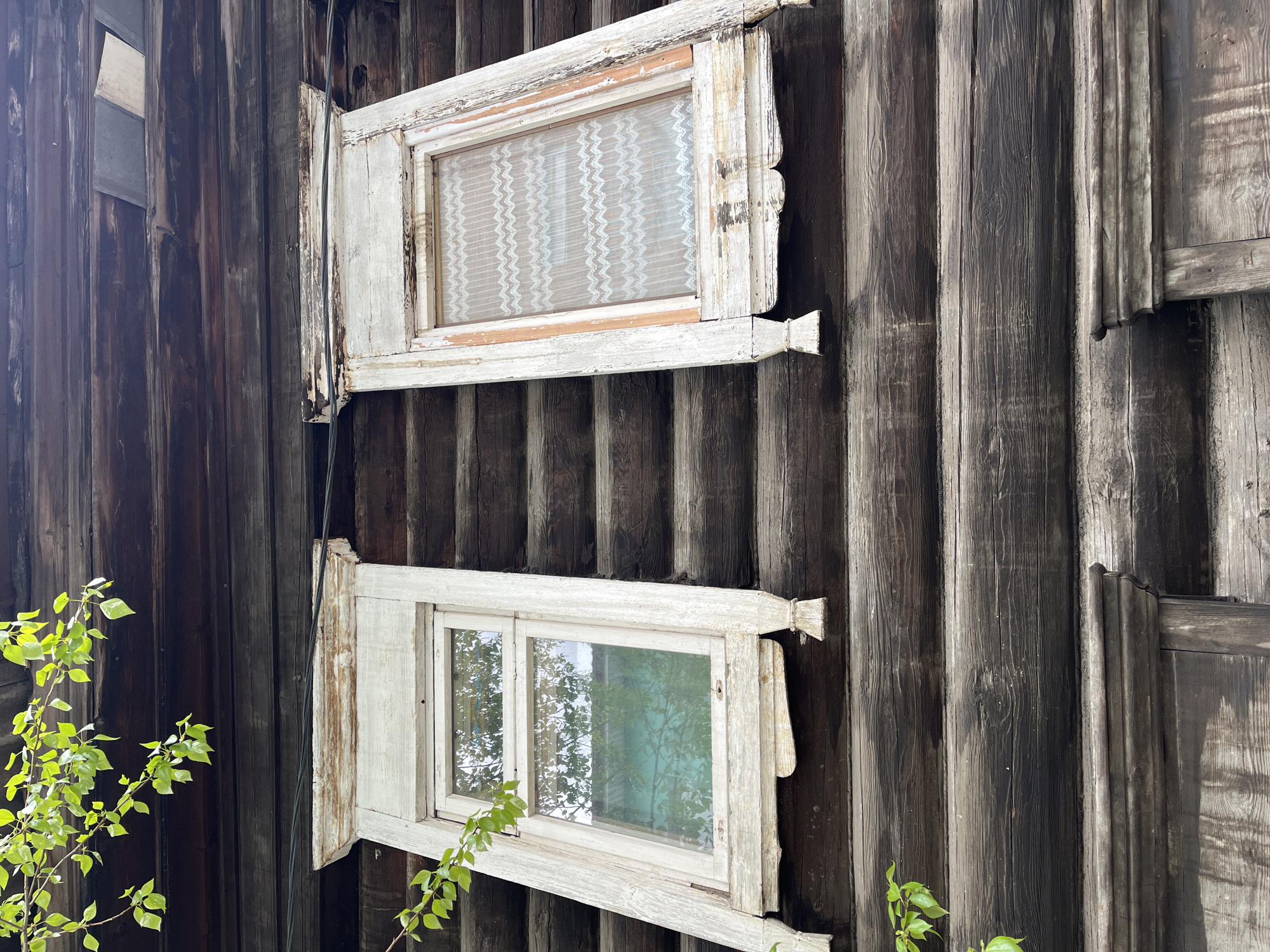 The image shows two dilapidated window frames attached to the dark wood siding of a building. The upper window frame contains a wavy-patterned translucent covering, while the lower window frame has clear glass reflecting the trees outside. The white paint on both frames is peeling and damaged. A power line is visible near the upper window frame. Green leafy branches are visible in the lower left and lower right corners of the image. The location is Krasnoyarsk, Russia.