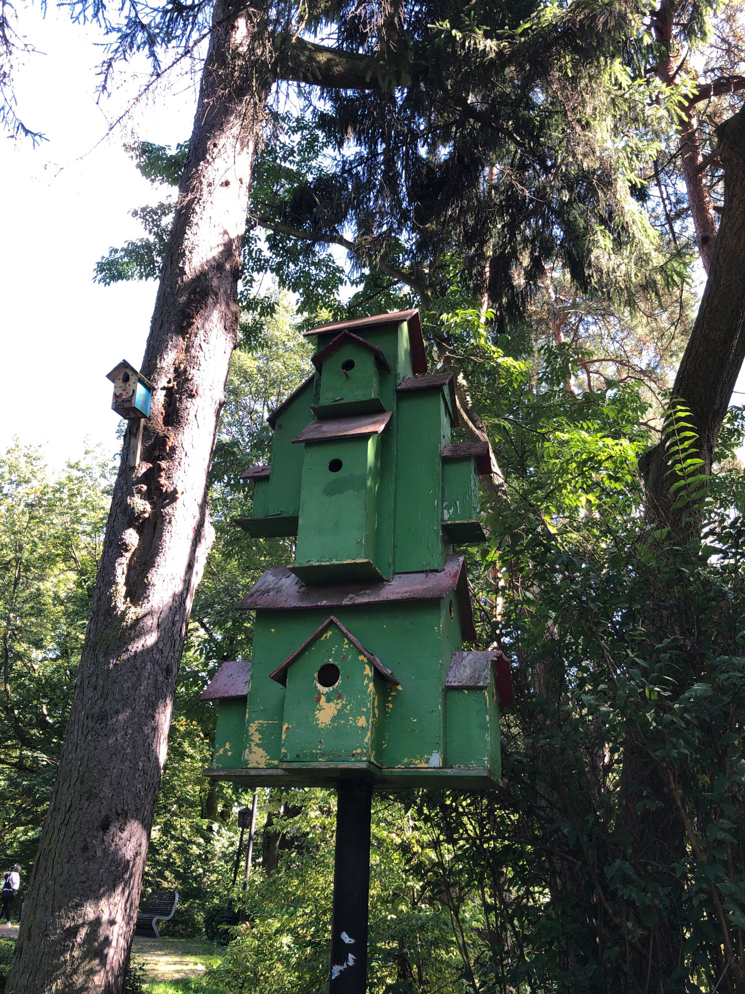 A multi-story, dilapidated green birdhouse structure stands prominently in a park setting in Lviv, Ukraine. The birdhouse, painted green with red accents on its roofs, shows signs of age with peeling paint. It is mounted on a black pole. To the left of the main birdhouse, a smaller, brightly colored birdhouse is attached to a large tree trunk. The surrounding environment is lush with dense green foliage and tall trees. Sunlight filters through the leaves, creating dappled shadows. In the background, a park bench is visible amidst the greenery. The overall scene suggests a whimsical, yet somewhat neglected, outdoor space.