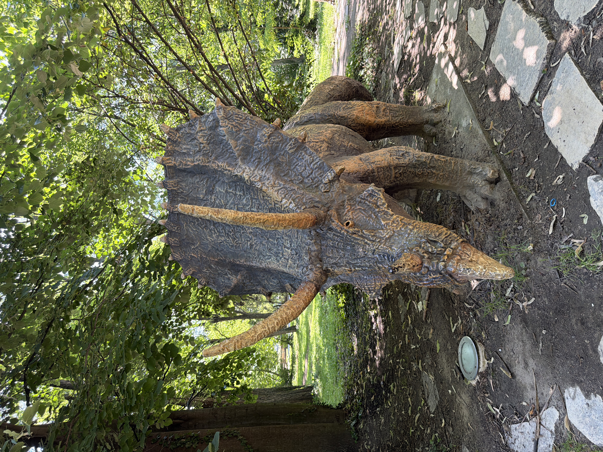 A statue of a triceratops dinosaur is positioned outdoors, with its head lowered and facing the viewer. The statue is dark brown and textured, with prominent horns and a large frill. It stands on a path made of irregularly shaped stone slabs, surrounded by dirt, fallen leaves, and sparse grass. To the left of the statue, a circular, light-colored metal object is set into the ground. The background features lush green trees and foliage, with sunlight filtering through the leaves, suggesting a park or outdoor exhibit setting. The statue is the primary subject, with no people or animals visible in the frame. This scene is located in the City Park of Pazardzhik, Bulgaria, known for its dinosaur park exhibit.