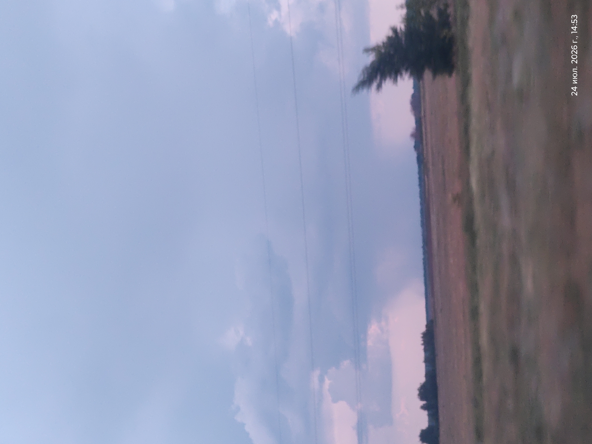 The image depicts a rural landscape under a cloudy sky, possibly at dusk. In the distance, a line of trees is visible against a flat, cultivated field. A single, wind-swept tree stands to the right of the frame. A rain shower is visible in the distance, appearing as a dark curtain against the sky. The sky is a gradient of pale blue and purple, with some lighter clouds and darker formations suggesting an approaching storm. Several faint horizontal lines, likely power lines, are strung across the sky. The bottom right corner of the image contains a timestamp: "24 июл. 2026 г., 14:53". The scene is devoid of any people or animals. The image appears to have been taken from a moving vehicle, indicated by the slight blur in the foreground. The location is stated to be Altyn dy rural district, Kazakhstan.