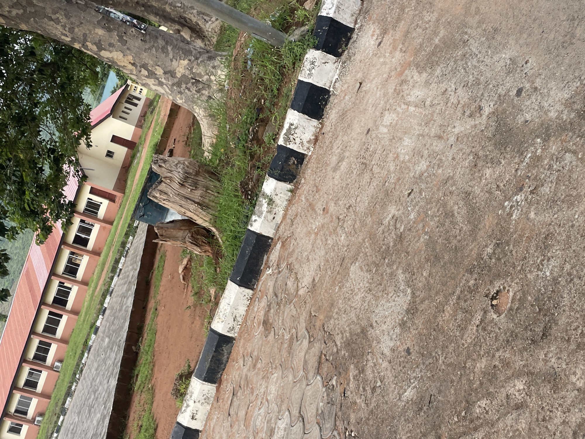The image captures a section of the Federal University Lokoja, specifically focusing on the exterior of one of its buildings. In the foreground, a paved pathway with an alternating black and white curb runs diagonally across the frame. The pathway itself appears to be made of interlocking concrete pavers, with areas of exposed concrete and soil visible. Beyond the pathway, a building with a red roof and peach-colored walls is partially visible, featuring multiple windows and air conditioning units. A large tree trunk with rough bark dominates the right side of the image, its branches partially obscuring the view of the building and surrounding greenery. The background shows more of the building, with a glimpse of a hilly, vegetated landscape in the distance. The overall scene suggests an outdoor campus environment, characterized by functional architecture and natural elements.