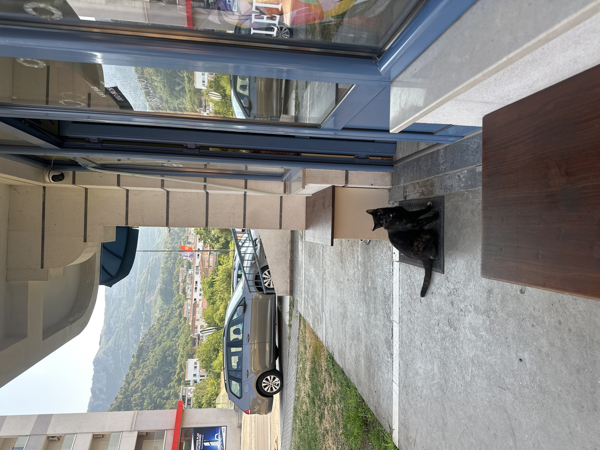 A black cat is sitting on a mat in front of a cafe in Budva, Montenegro. The cat is looking at the camera. In the background, there is a gray car parked on the street. The cafe has large glass windows and blue doors. The buildings in the background are white and red. The sky is clear and blue.