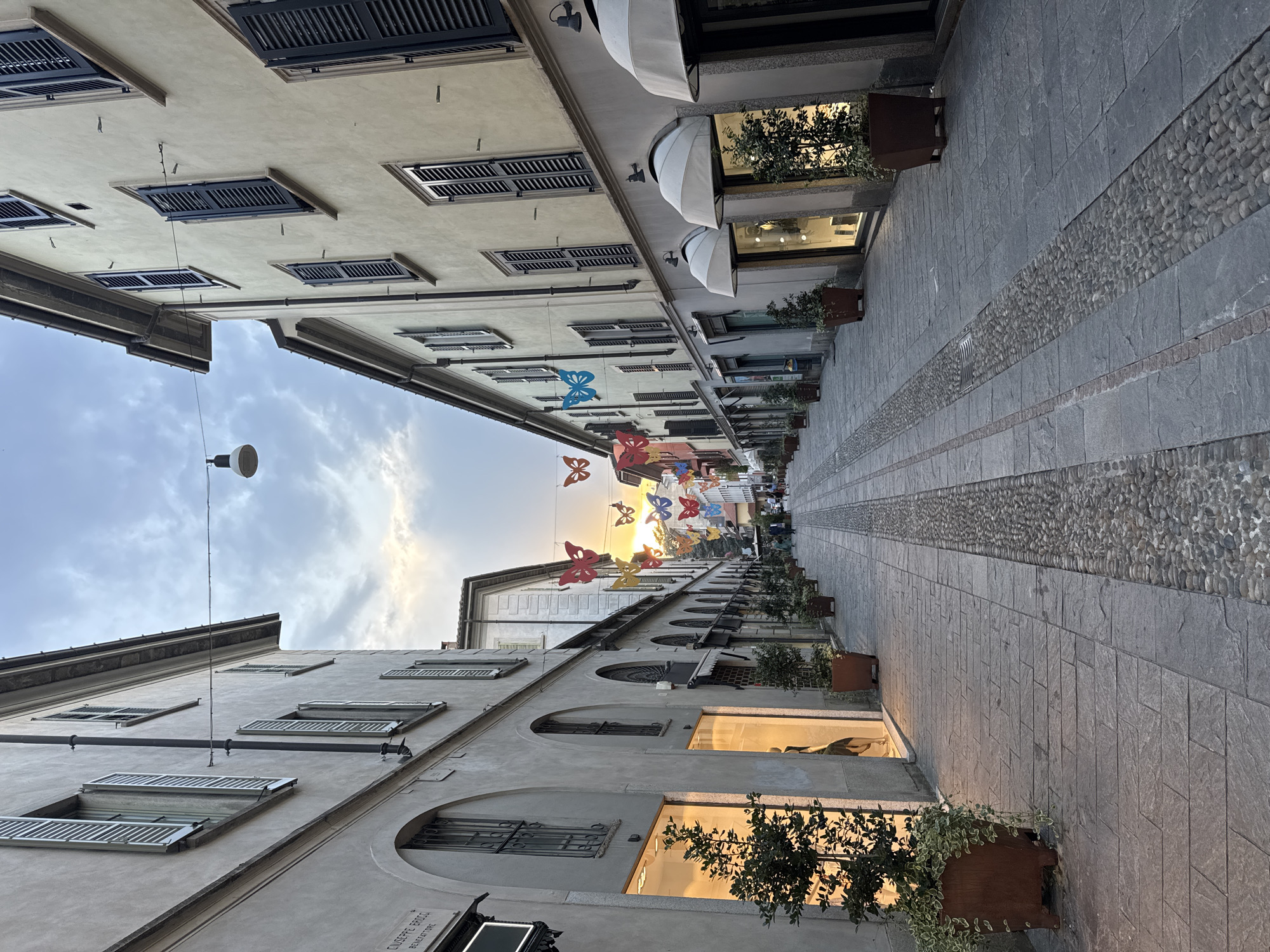 This image depicts a street scene in Varese, Italy, likely on Via Monte Grappa, characterized by its narrow, pedestrianized layout and flanked by buildings with traditional architecture. The buildings on either side of the street feature pale-colored facades and shuttered windows, with shops on the ground floor. The street is paved with stone slabs and features a central cobblestone drainage channel. Colorful butterfly decorations are strung across the street overhead, creating a festive atmosphere.
In the foreground, planters with small trees and greenery are positioned outside the shops. Several people are visible walking further down the street, appearing to be engaged in casual strolls or shopping. The sky above is partly cloudy with the sun setting, casting a warm glow and silhouetting some of the butterfly decorations. The overall impression is of a charming European street during twilight.