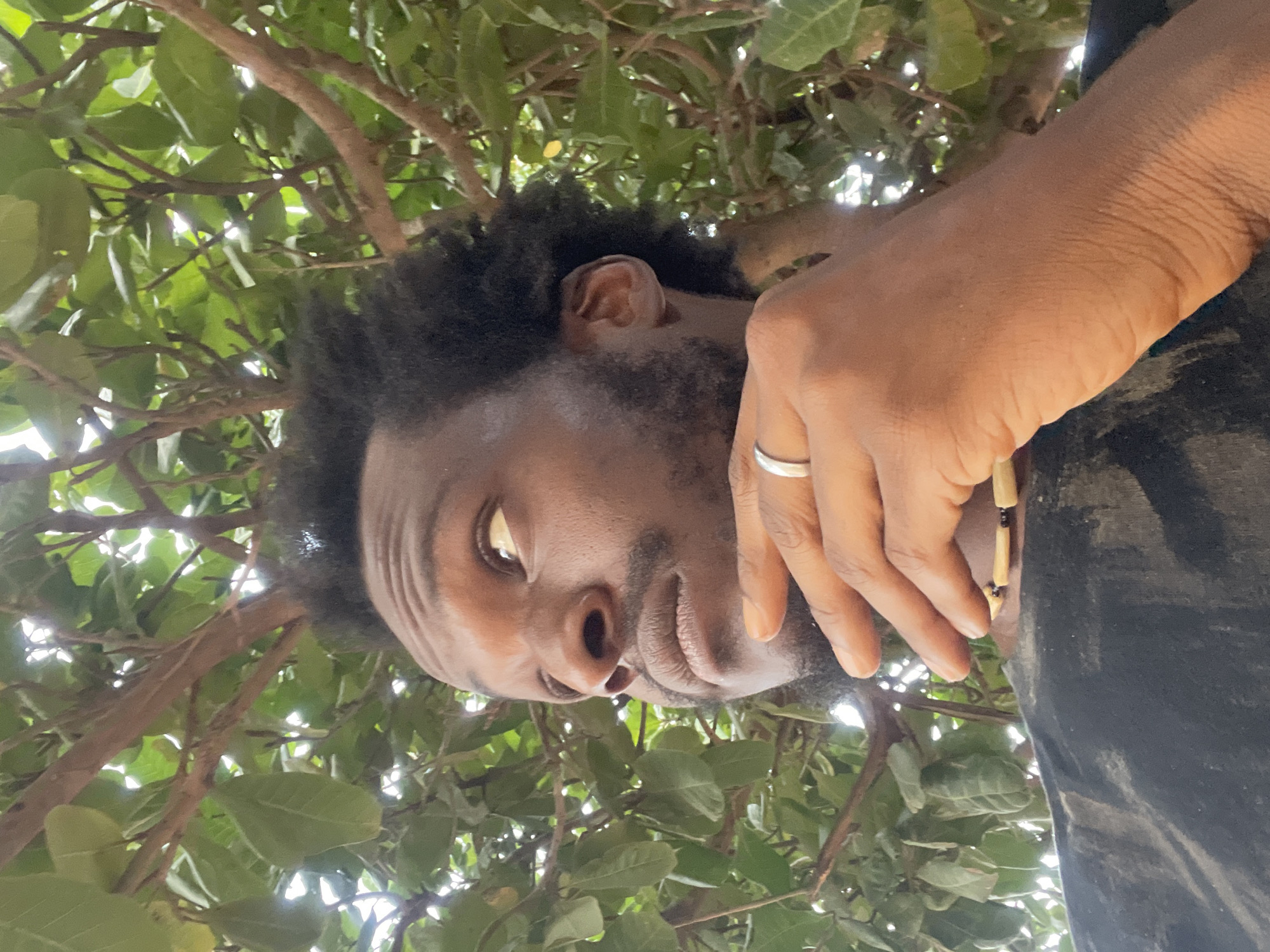 A low-angle, close-up, outdoor, eye-level shot captures a Black man from the chest up, nestled amongst the dense foliage and branches of a tree. The man's head is tilted upwards and to the right, his gaze directed off-camera. His dark, curly hair is short and somewhat unkempt. He has dark skin, a prominent nose, and a mustache and goatee. His right hand is raised to his chin, with his thumb resting on his jawline and his fingers gently touching his cheek and below his lip. A silver ring adorns his ring finger. He is wearing a black t-shirt, and a necklace made of what appear to be wooden beads and black accents is visible around his neck. The background is filled with vibrant green leaves and brown tree branches, suggesting a lush, natural environment. Sunlight filters through the leaves, creating dappled light and shadows on the man's face and body. The scene is set in a park or garden area within the city of Abuja, Nigeria.