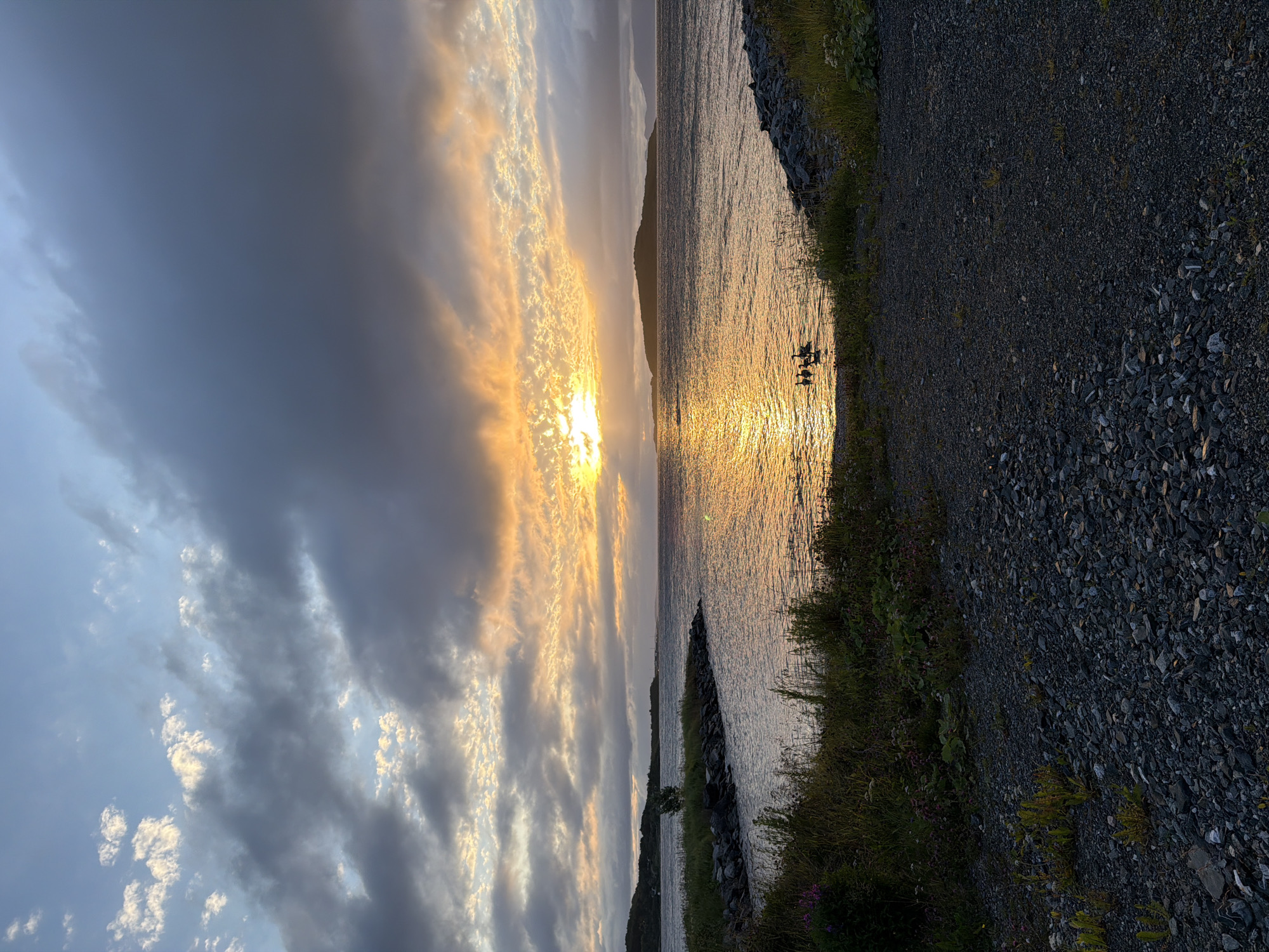 A serene sunset over the waters near Harstad, Norway, casting a golden glow across the sea. In the foreground, a gravel path leads down to the water, with lush green vegetation and scattered purple flowers lining the edge. The calm water reflects the vibrant colors of the sky, which is a canvas of dramatic clouds tinged with orange and yellow from the setting sun. A small island or peninsula is visible in the distance, silhouetted against the horizon. A group of birds are peacefully floating on the water, adding a touch of wildlife to the tranquil scene. The overall atmosphere is one of peace and natural beauty.