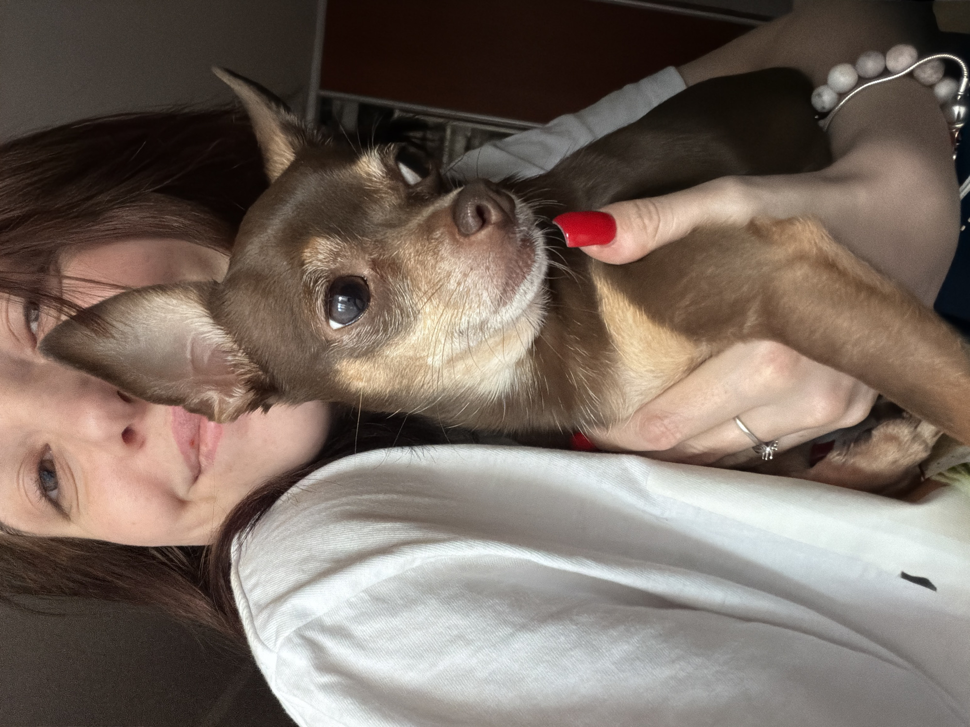 A woman is holding a small brown chihuahua dog in an indoor setting. The woman is wearing a white t-shirt and has dark brown hair. She is smiling and looking towards the camera. The dog is looking to its left. The woman's left hand, which is adorned with red nail polish and a ring, is holding the dog's body. A bracelet made of white and pink beads is visible on the woman's right wrist. The background is out of focus, but appears to be a room with a wardrobe or closet.