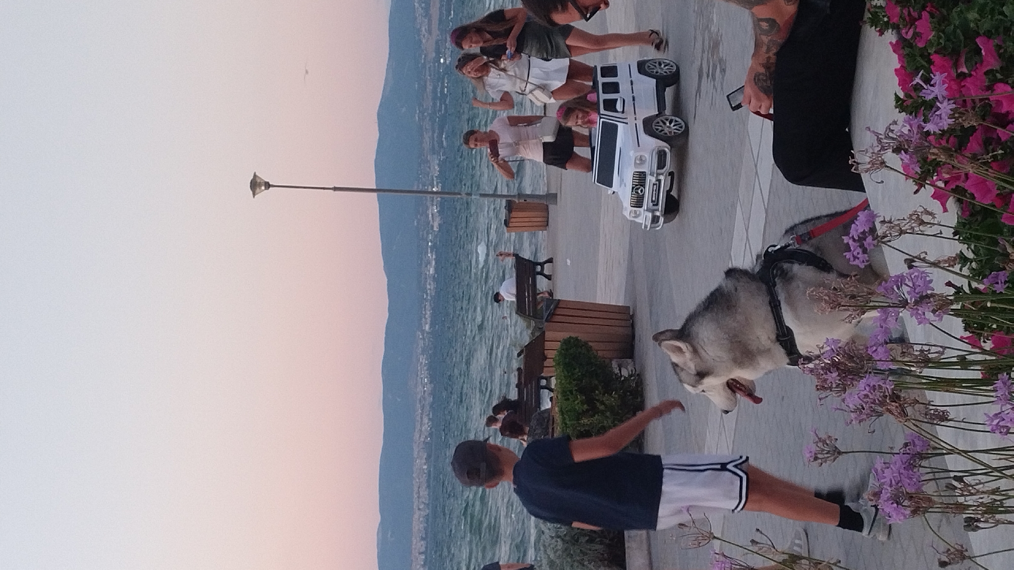 The image depicts a waterfront promenade in Perea, Greece, at dusk. The sky exhibits a soft gradient of pastel pink and pale blue, indicative of sunset. In the foreground, a husky dog with grey and white fur, wearing a black harness with a red leash, sits on a paved surface adorned with purple and pink flowers. To the left, a young boy wearing a dark t-shirt and white shorts with black stripes walks past. Further back, several people are seated on wooden benches along the promenade, overlooking a choppy sea. In the mid-ground, a small, white toy electric car resembling a Mercedes G-wagon is parked, with a young girl inside and two women standing nearby. One woman is holding a smartphone and taking a photo, while another appears to be looking at her phone. A street lamp stands tall behind them. The backdrop features a distant cityscape and rolling hills against the horizon. The overall atmosphere suggests a casual evening gathering by the sea.