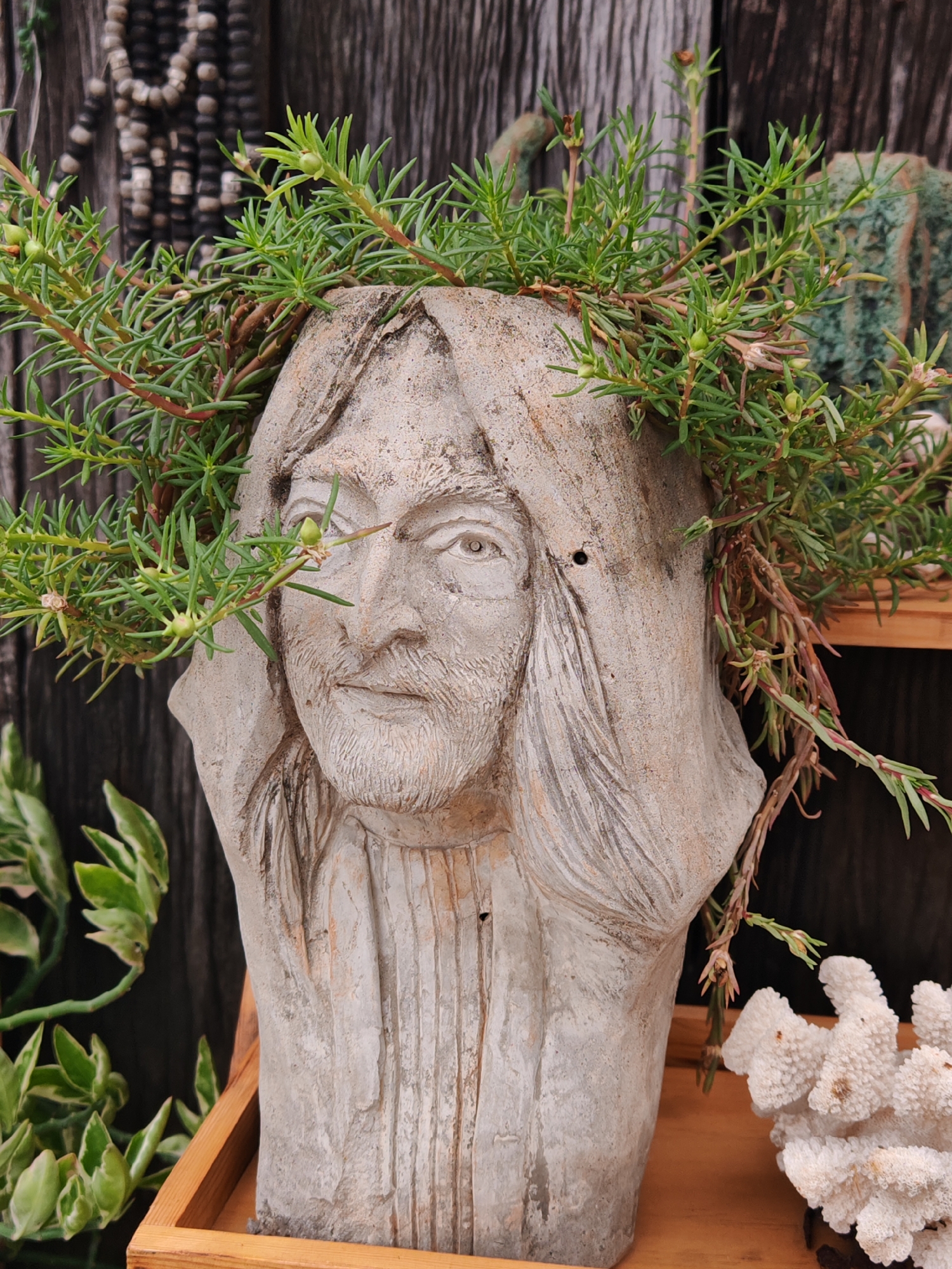 A close-up shot captures a concrete bust with a plant growing from its top, set against a dark wooden plank background. The bust, resembling a man with a beard and long hair, appears weathered and aged. Green, leafy vines with small buds cascade over the bust's head and shoulders, creating a natural crown. To the left of the bust, a string of dark and light beads hangs vertically, partially obscured by the plant. In the lower right corner, a piece of white coral sits on a wooden surface. The scene is likely part of an outdoor display or garden decoration in Baan Bo Phut, Thailand, given the overall aesthetic and the presence of tropical elements like coral. The lighting is natural and diffused, highlighting the textures of the concrete and the plant.