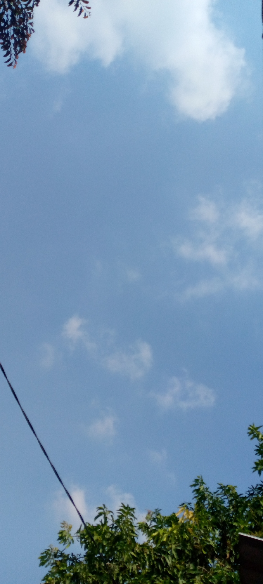 This is a vertical, eye-level, outdoor, full-shot photograph of a bright blue sky with scattered white clouds. The top of the frame shows the leafy branches of a tree, with the leaves appearing reddish-brown and dark green. A thin, black wire runs diagonally from the bottom left to the middle of the frame. The bottom of the frame is filled with lush green foliage of trees, with some leaves appearing yellowish. The setting appears to be a suburban or rural area in Sumberwono, Indonesia, likely during daylight hours.