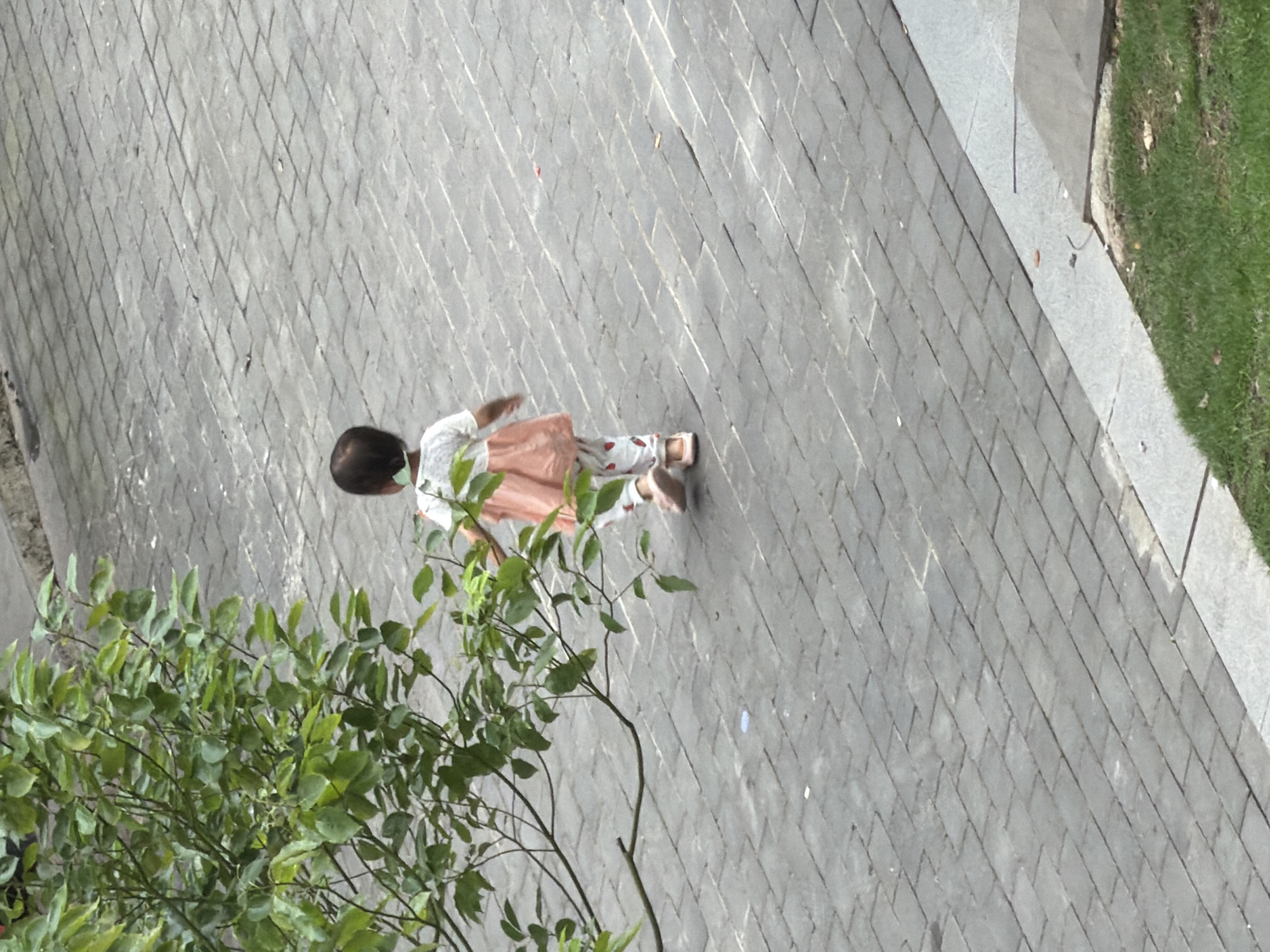 A child with short, dark hair, wearing a white shirt, light orange dress, and patterned pants, is walking on a paved surface. The paving stones are gray and rectangular, laid in a herringbone pattern. A green bush or small tree is in the lower left corner of the frame, partially obscuring the view. The background shows a concrete curb and a patch of green grass. The location appears to be outdoors in an urban area. No specific address is provided, but the description refers to the Chongqing High-tech Zone, China.
