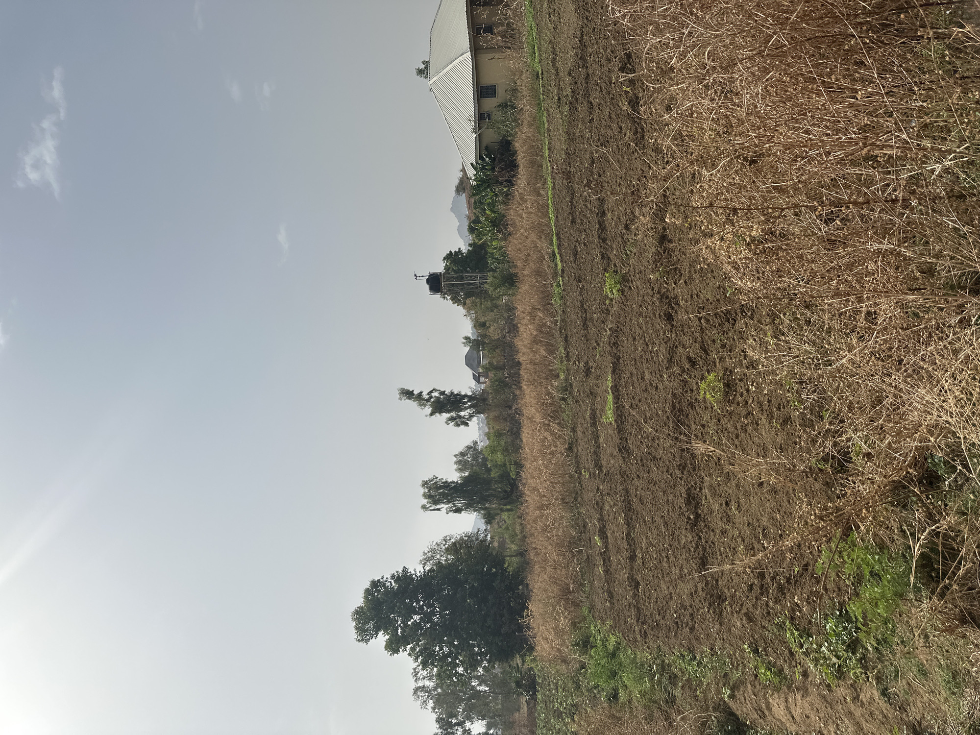 The image depicts an agricultural landscape in Kirana, Nigeria. The scene includes a field with dry, brown vegetation and patches of recently tilled soil. A small building with a metal roof is visible in the background. There are trees and shrubs lining the field, with a few larger trees in the foreground. A water tank is perched on a tall structure, further in the background. The sky is overcast. There is no evidence of people or animals in the image.