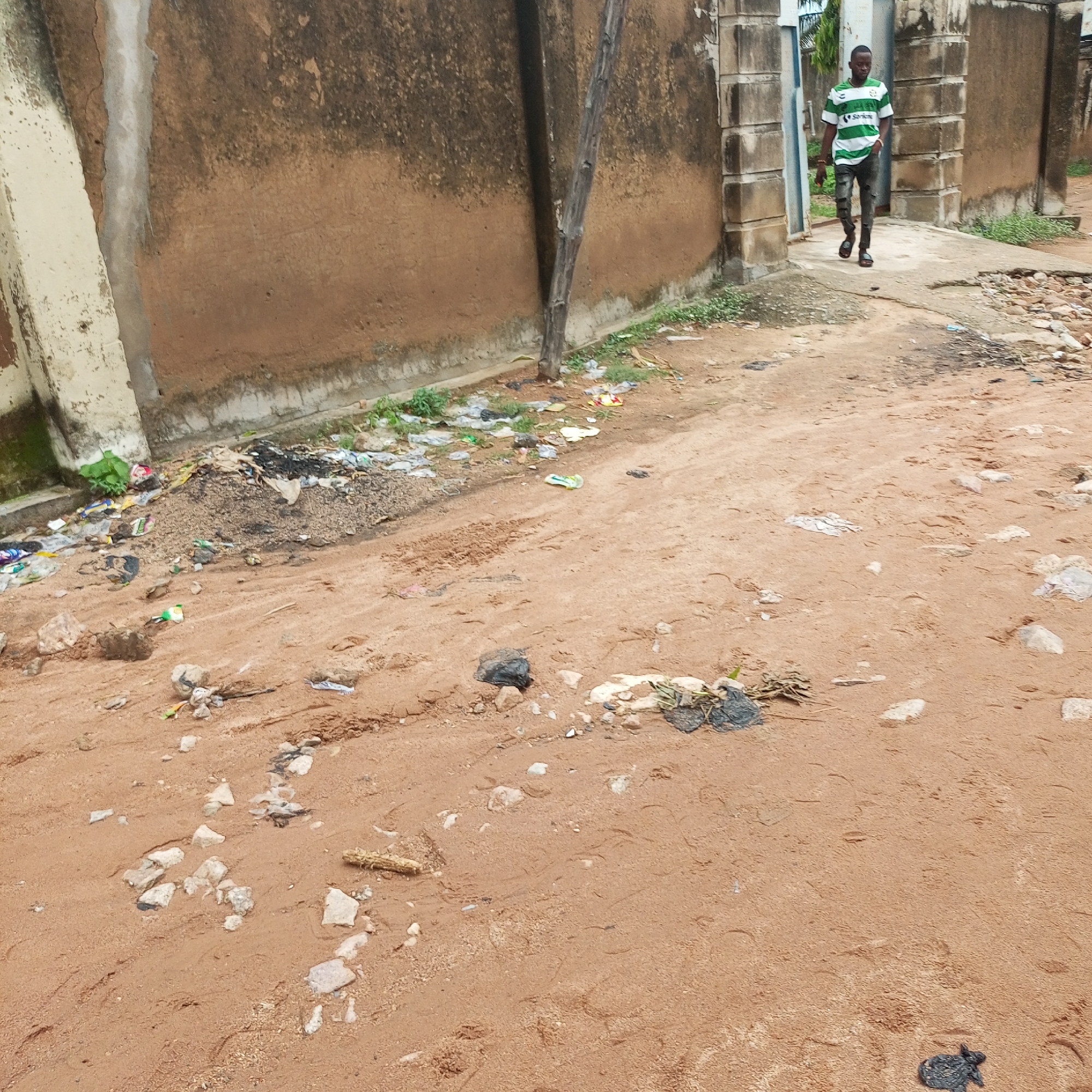 A young man walks through a sandy, debris-strewn pathway in Jalingo, Nigeria. He is wearing a green and white striped t-shirt and ripped dark jeans, and is walking towards the camera. The pathway is lined by a rough, brown wall on the left and a series of stone pillars on the right, suggesting an entrance or boundary. Various pieces of trash, including plastic bags and wrappers, are scattered on the ground and along the wall. Greenery is visible growing along the base of the wall and between some of the debris. The ground is predominantly sandy, with some embedded rocks and tire tracks. The overall scene depicts a somewhat neglected urban environment.